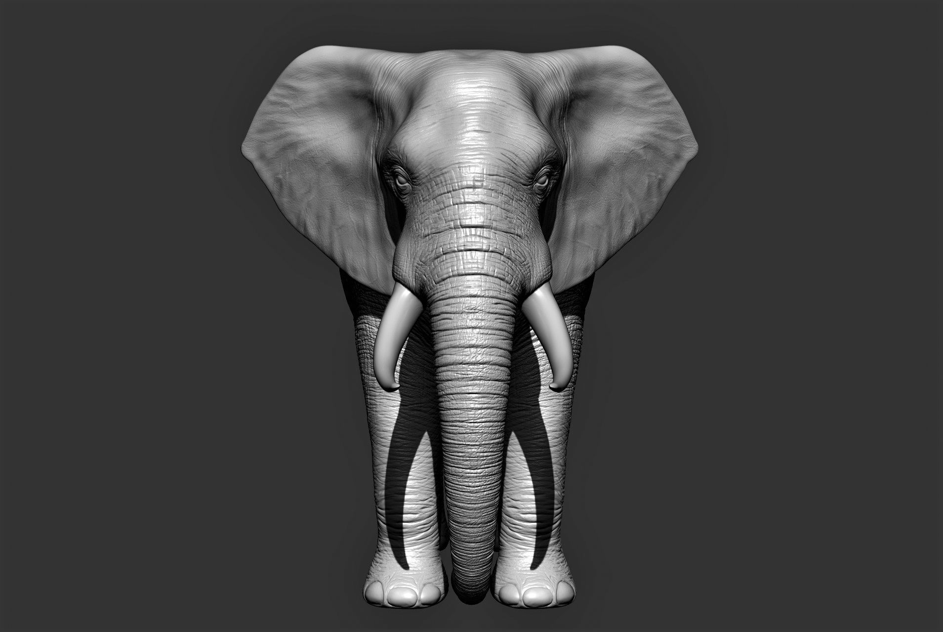 Wild animal collection 3D model_14