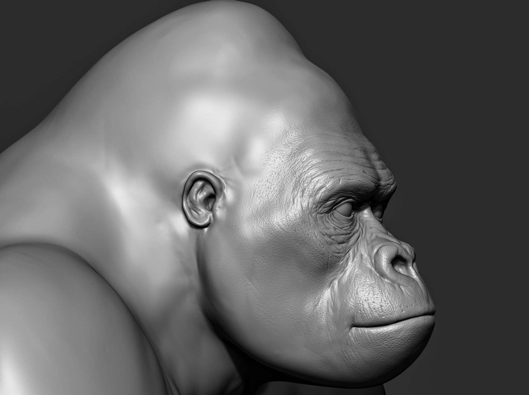 Wild animal collection 3D model_102