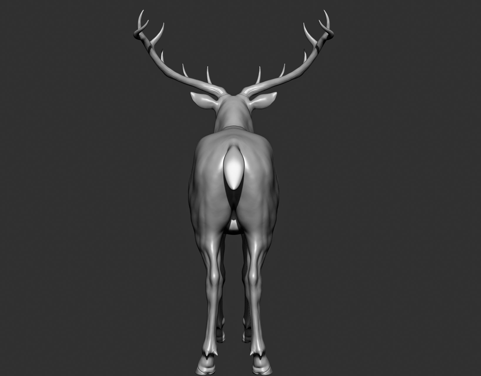 Wild animal collection 3D model_135