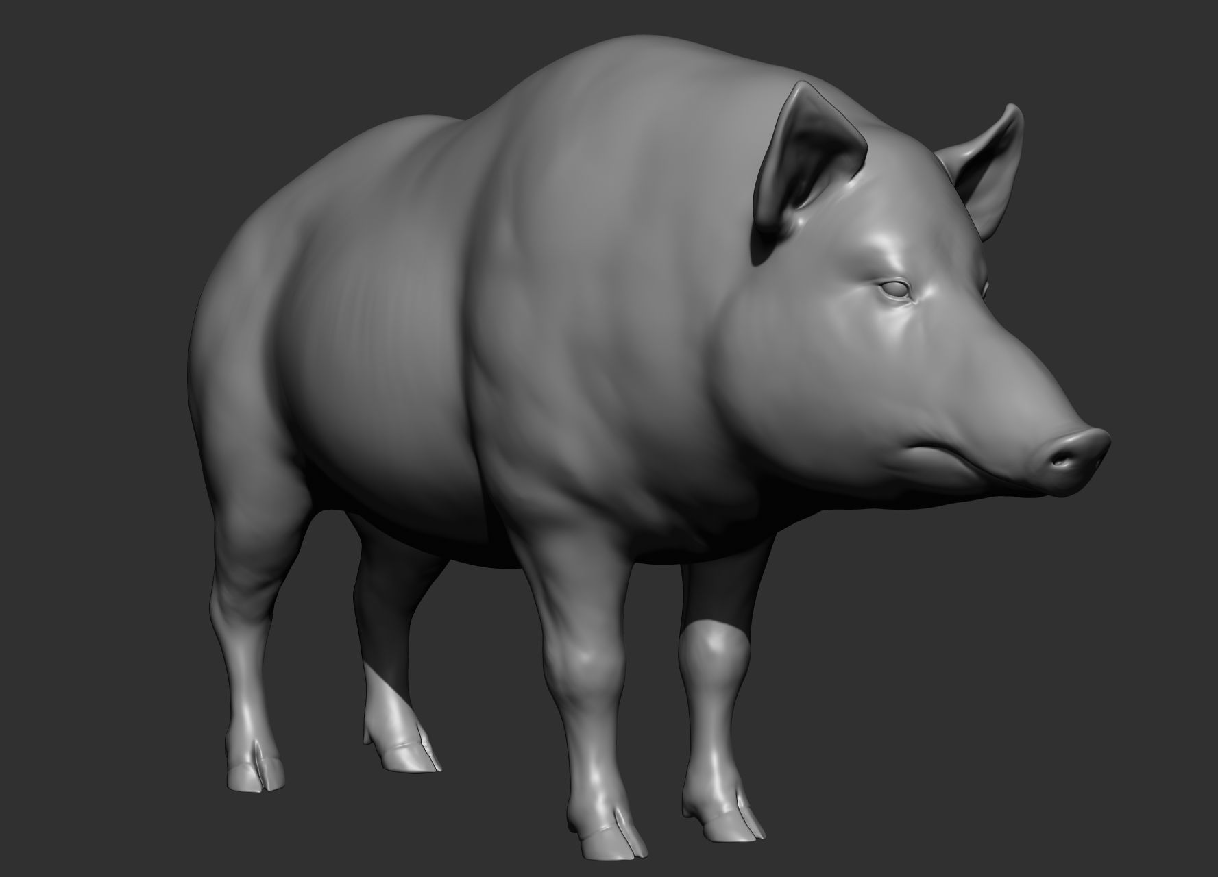 Wild animal collection 3D model_144