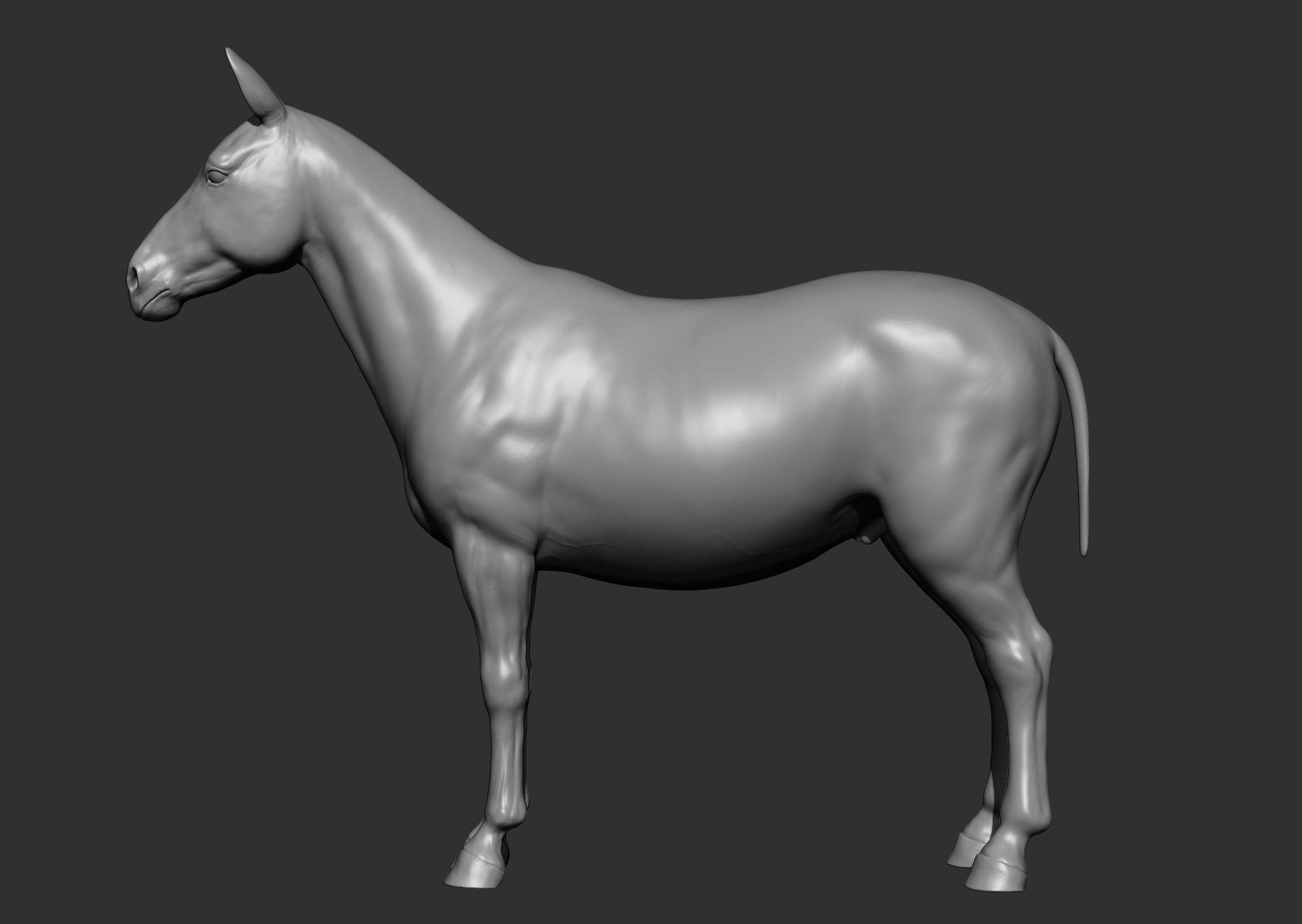 Wild animal collection 3D model_120