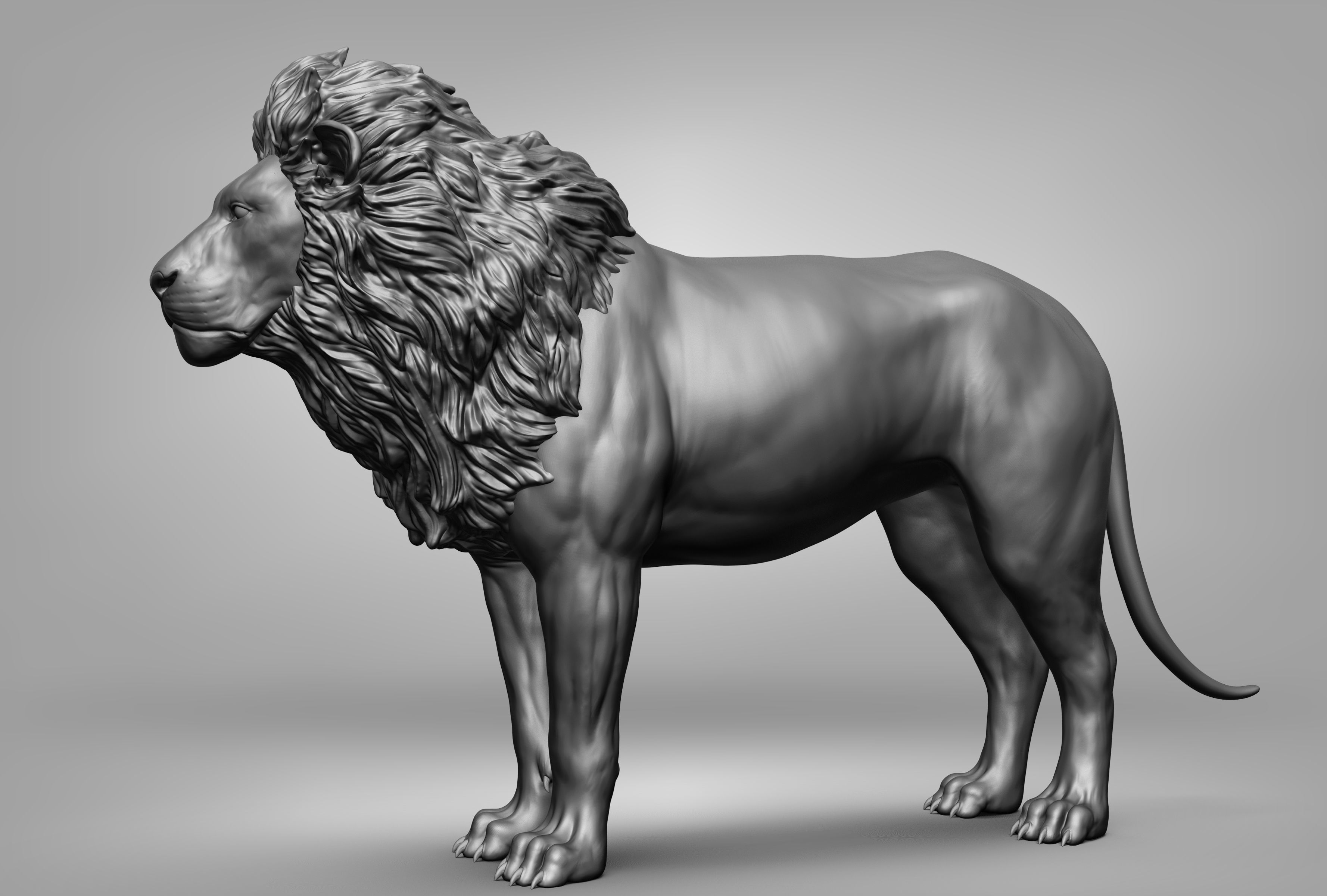 Wild animal collection 3D model_17