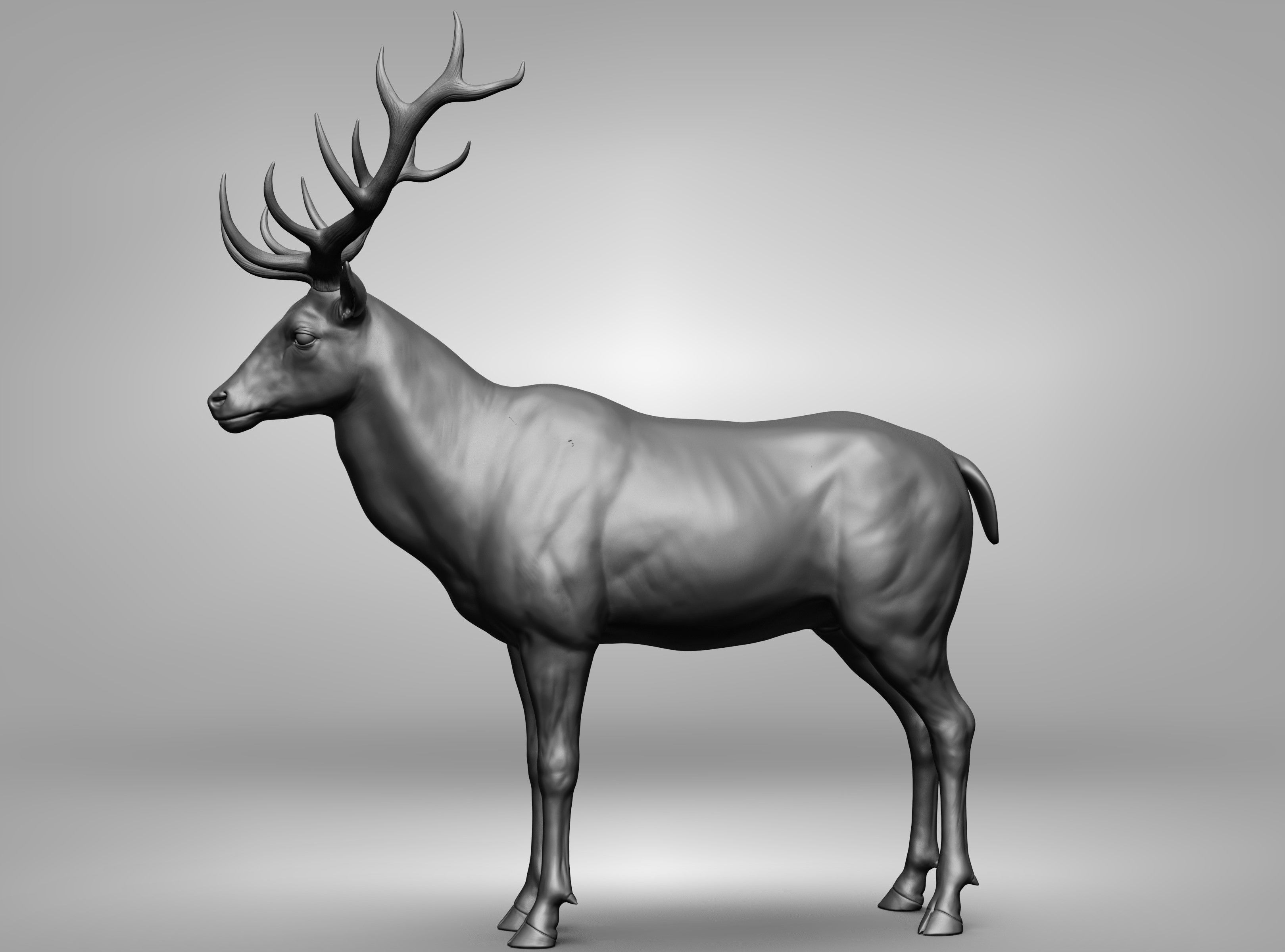 Wild animal collection 3D model_124