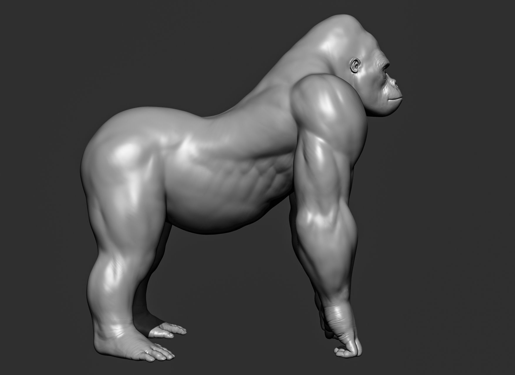 Wild animal collection 3D model_99