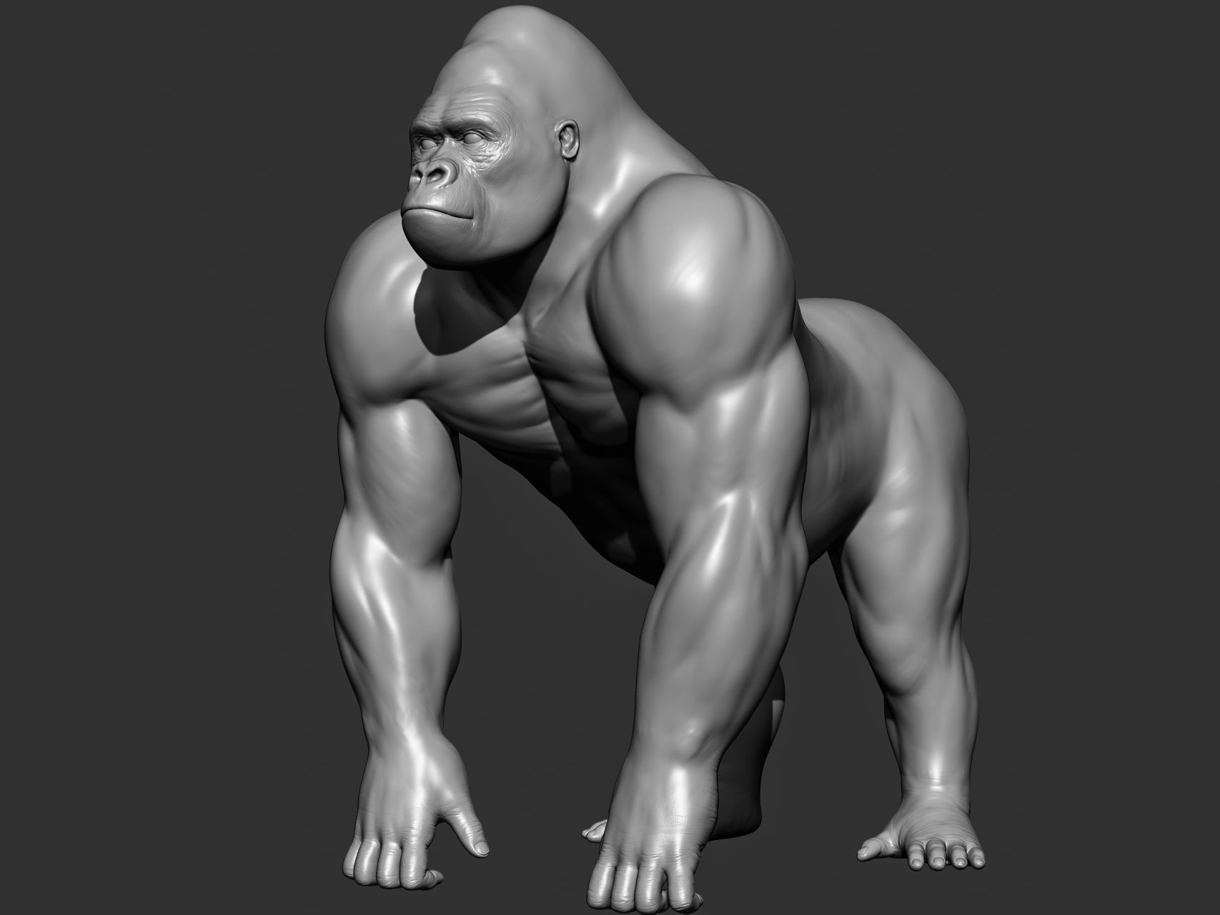 Wild animal collection 3D model_95