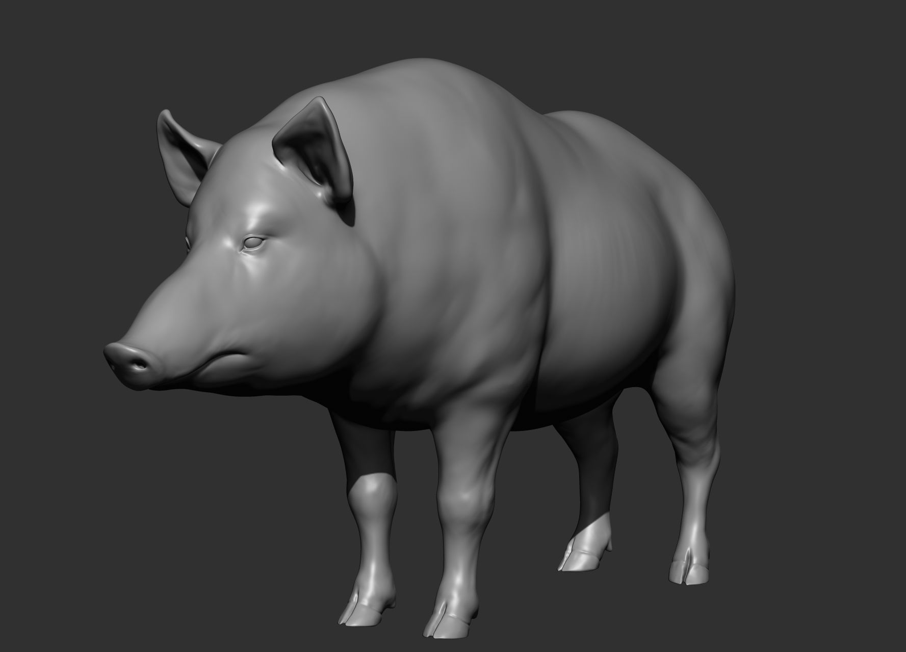 Wild animal collection 3D model_147