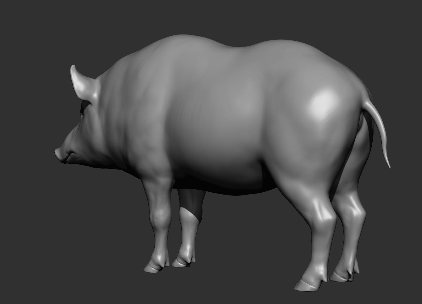 Wild animal collection 3D model_146