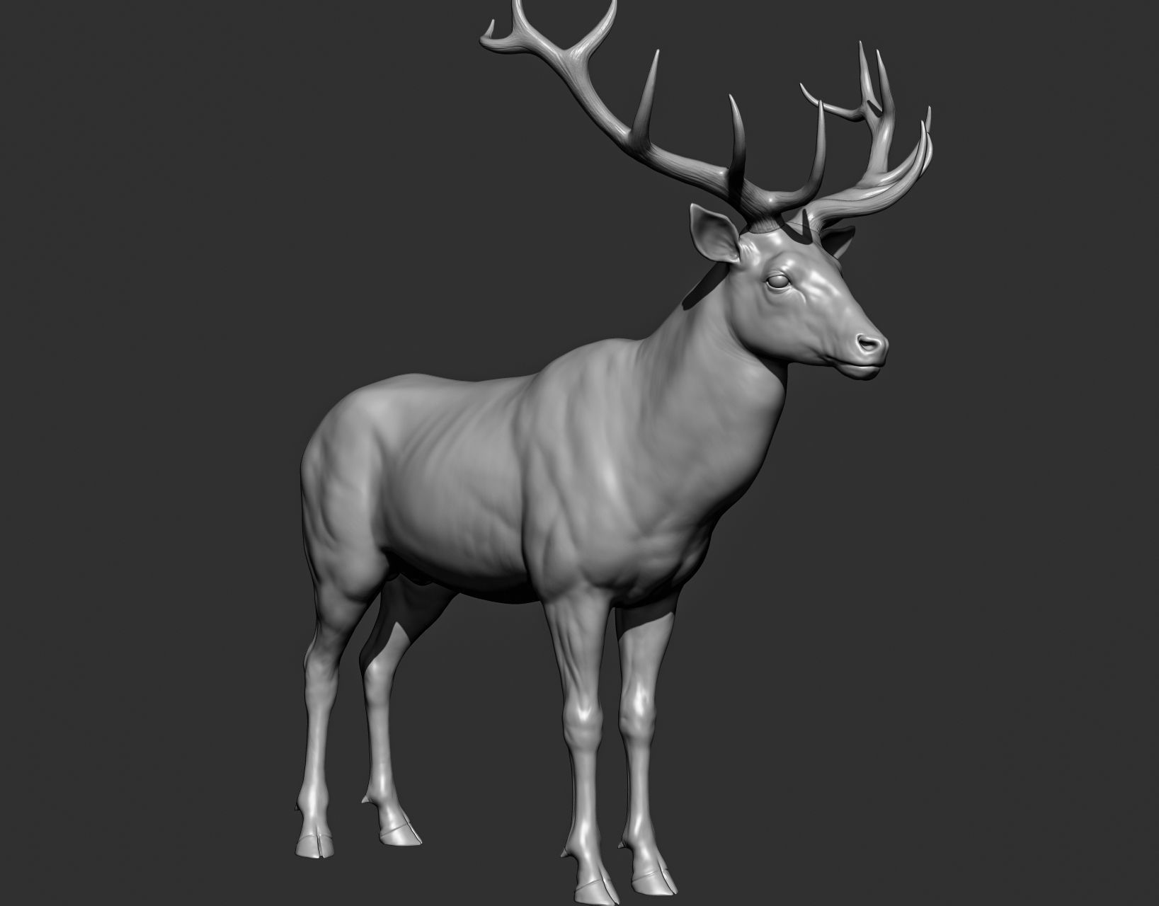 Wild animal collection 3D model_132