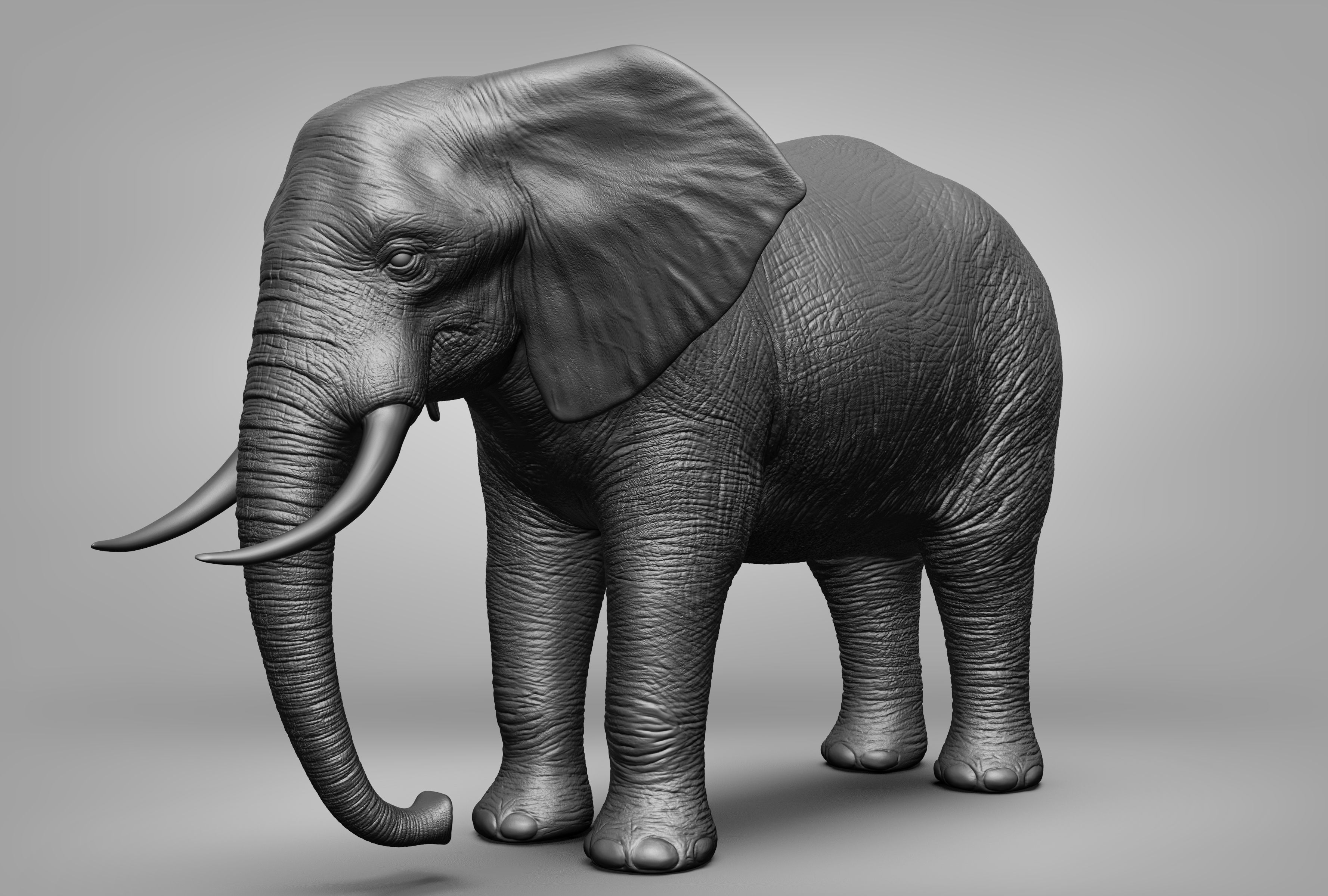 Wild animal collection 3D model_1