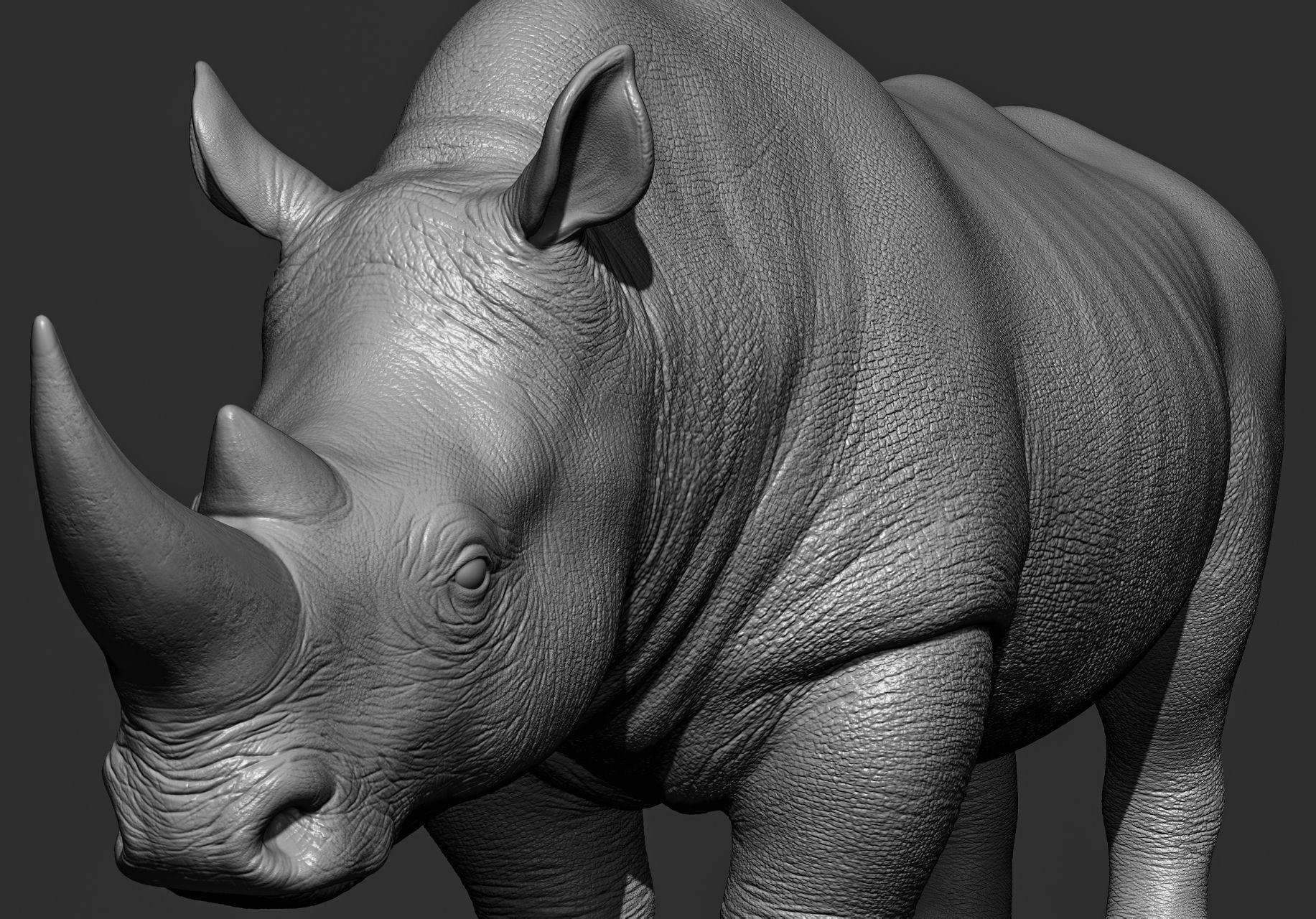 Wild animal collection 3D model_84