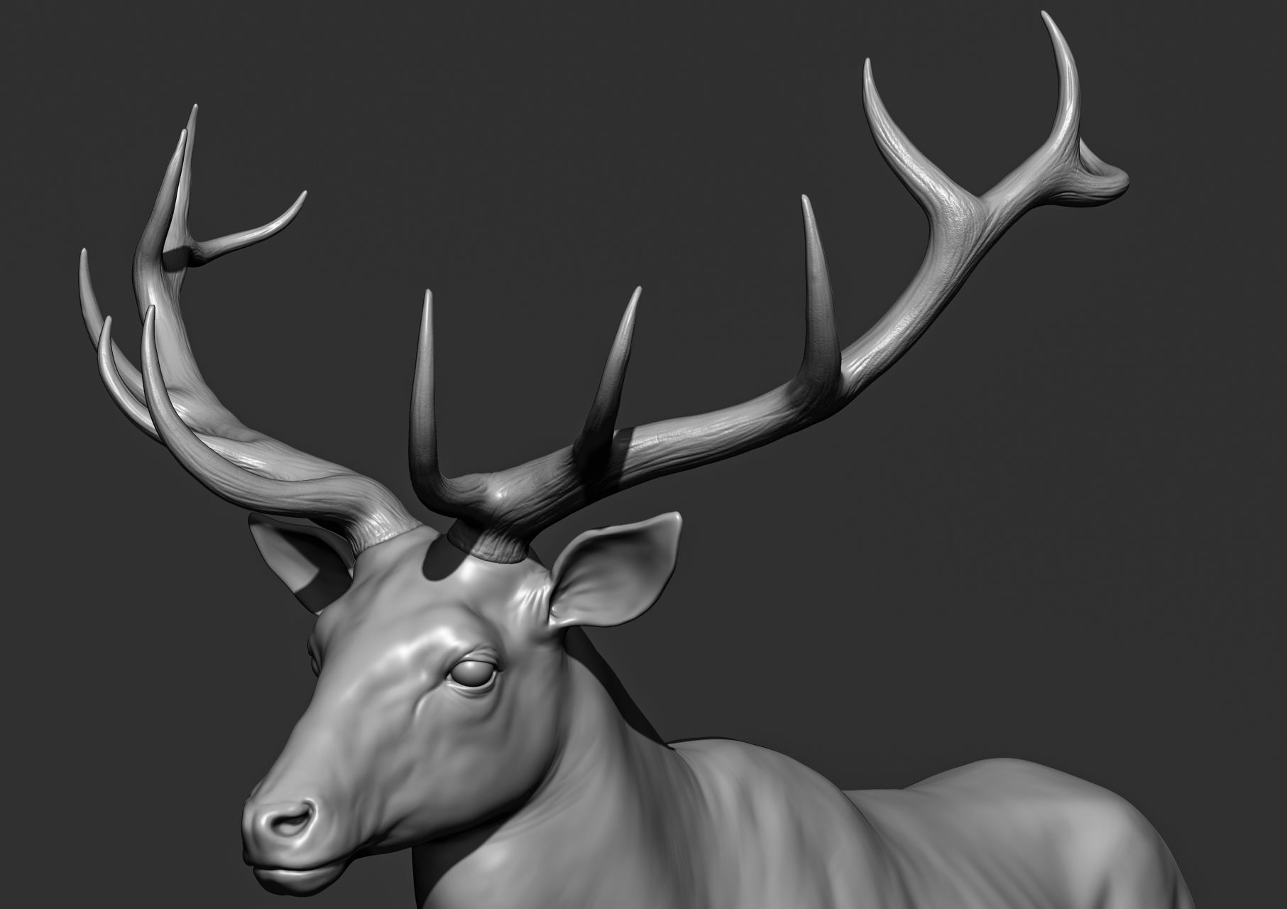 Wild animal collection 3D model_136