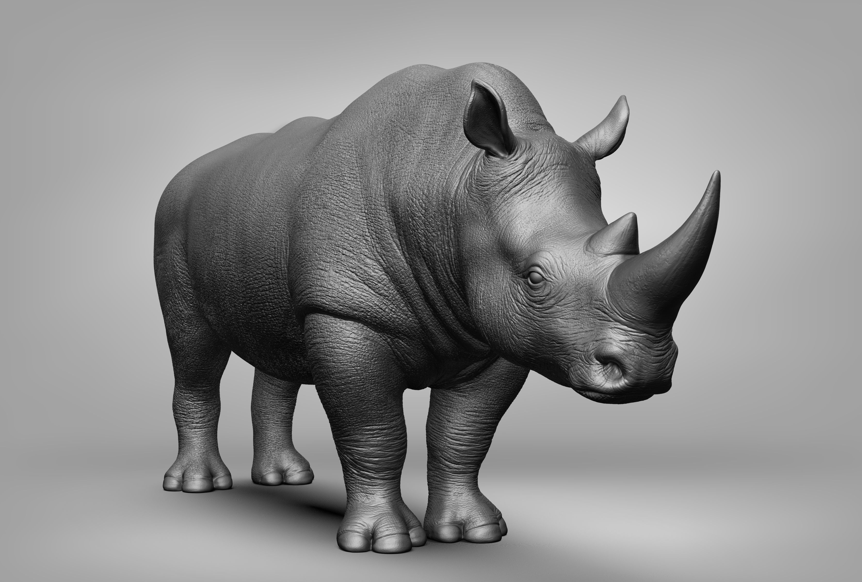 Wild animal collection 3D model_77