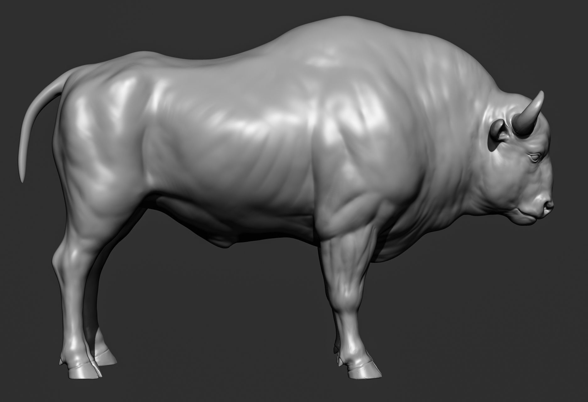 Wild animal collection 3D model_107