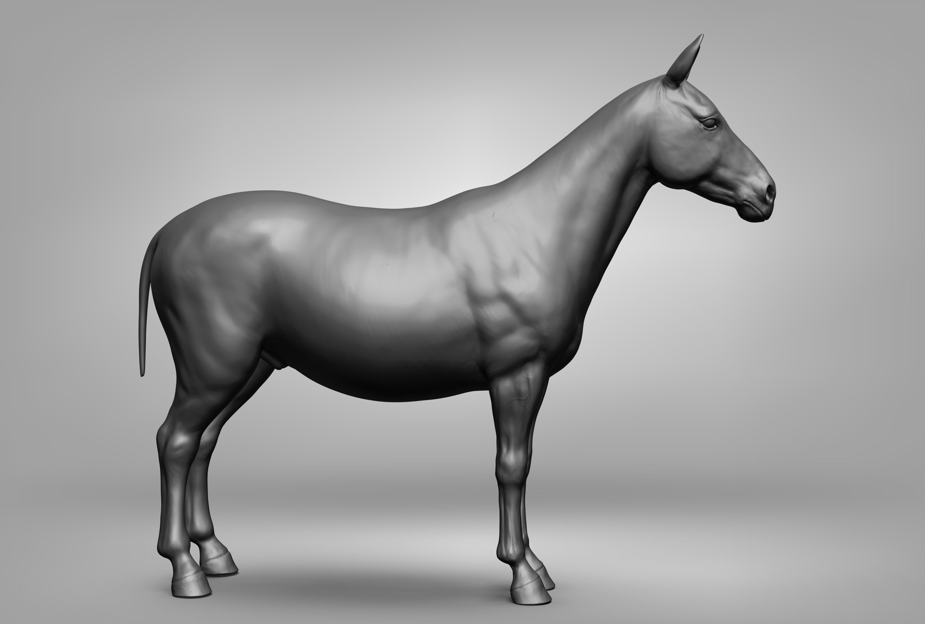 Wild animal collection 3D model_117