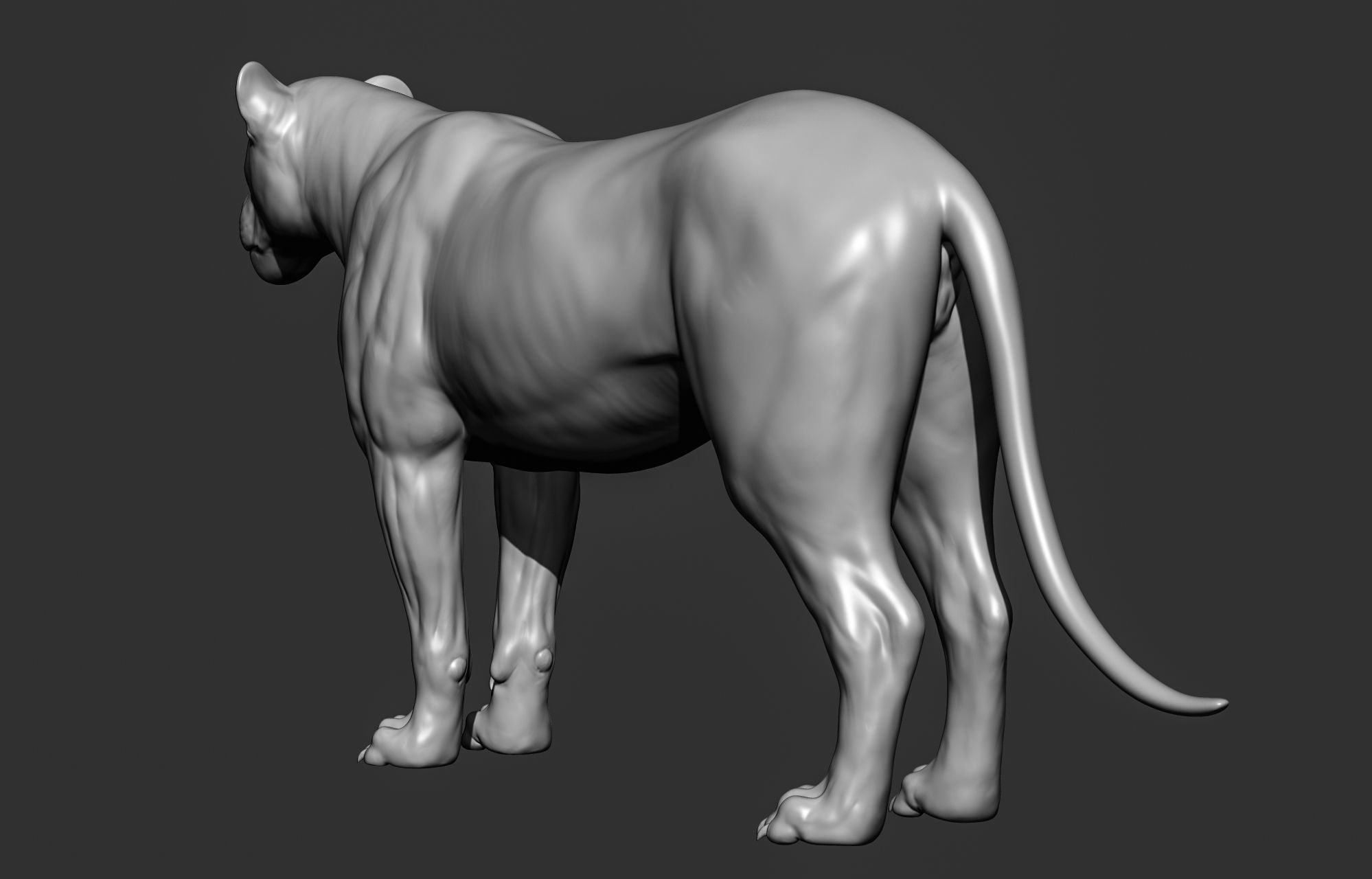 Wild animal collection 3D model_42