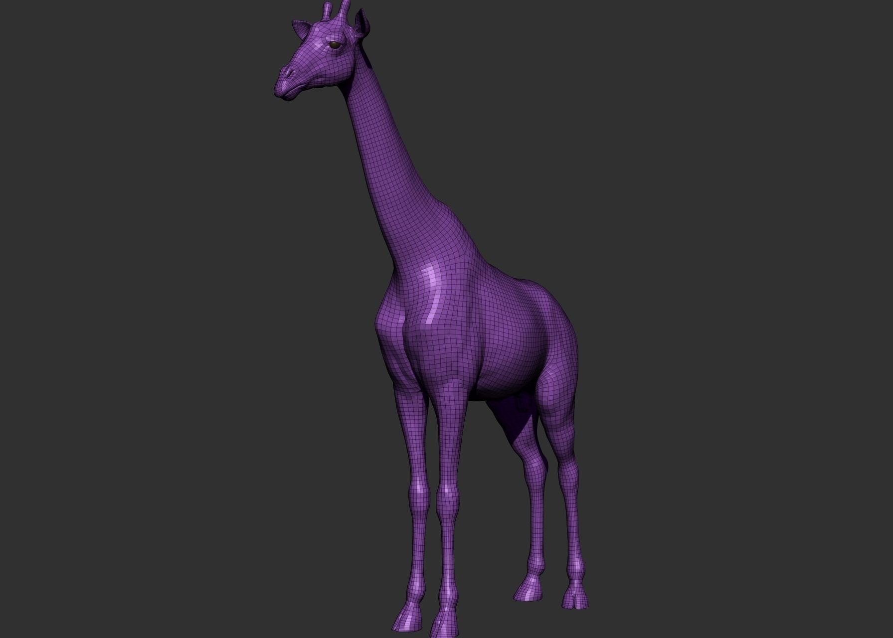 Wild animal collection 3D model_72