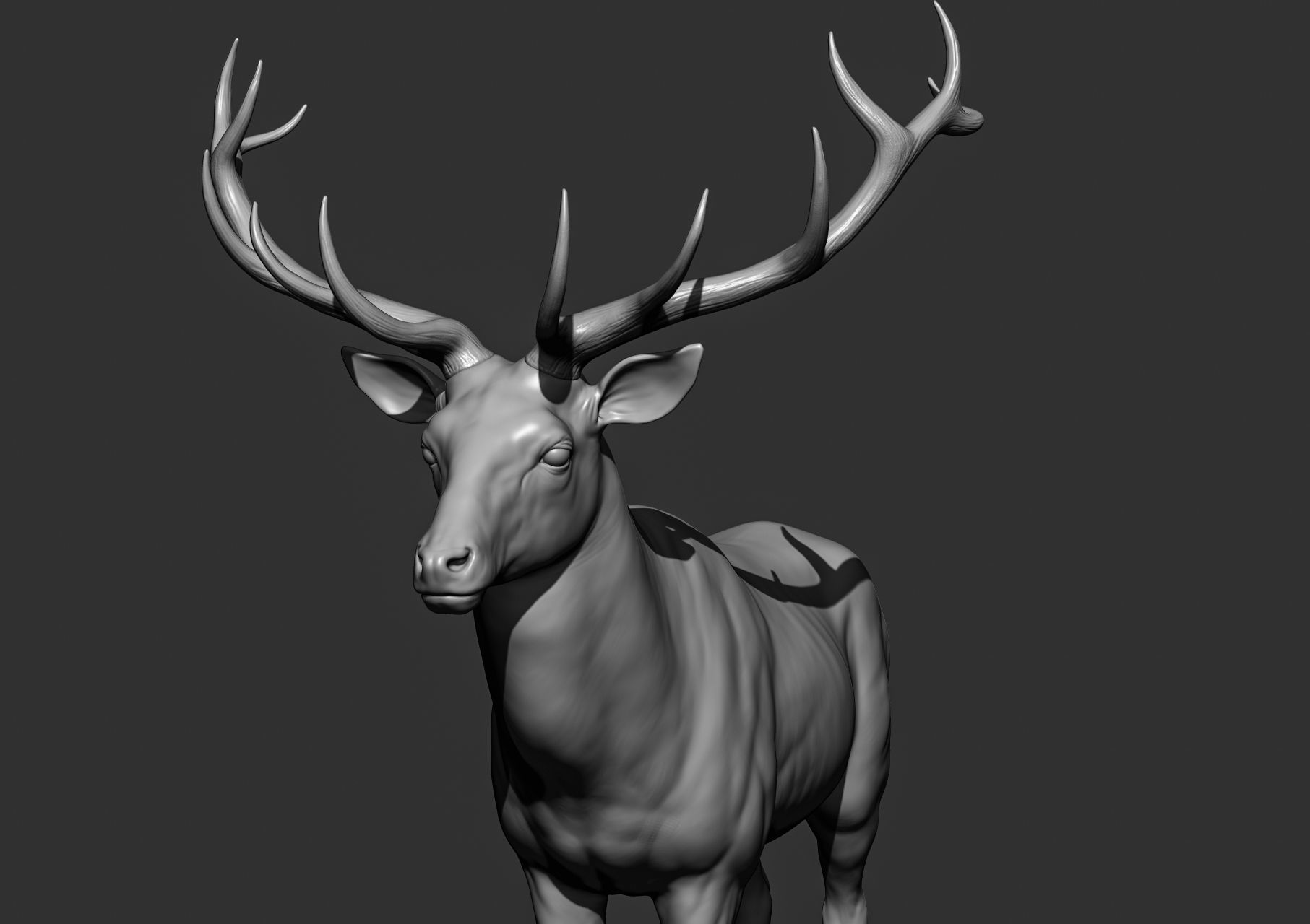 Wild animal collection 3D model_133