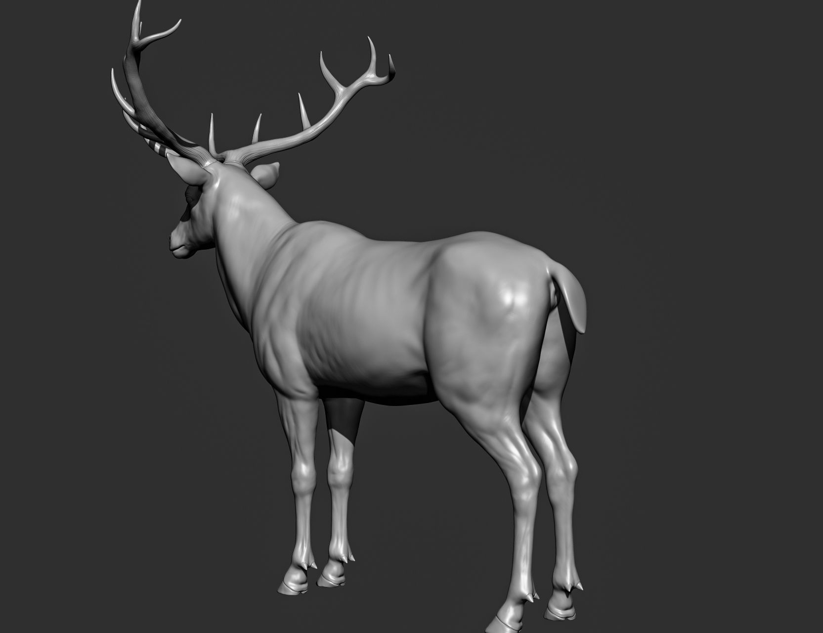 Wild animal collection 3D model_139