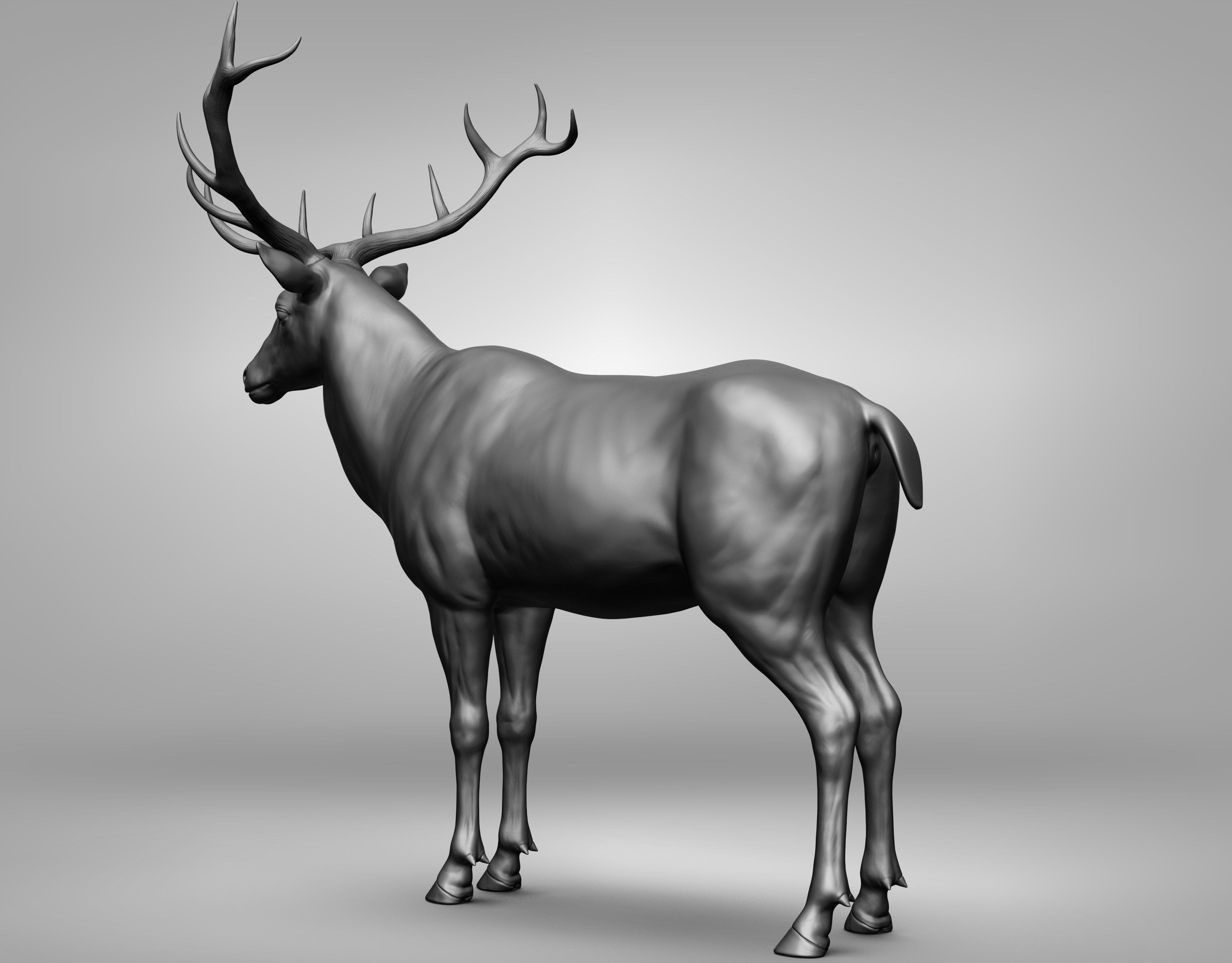 Wild animal collection 3D model_125