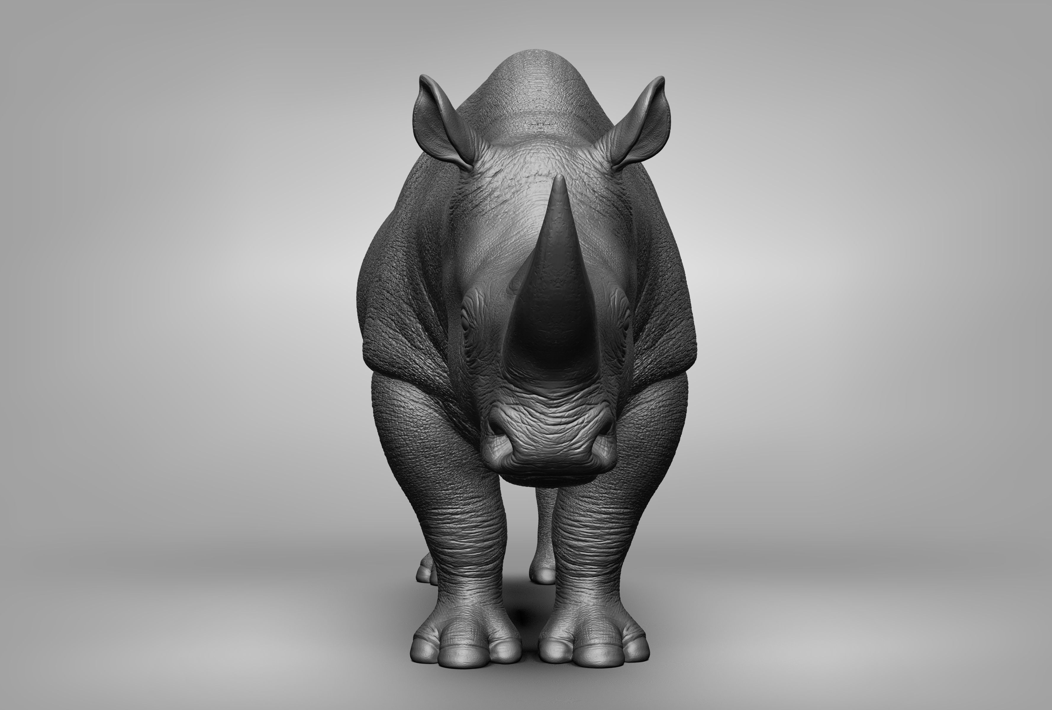 Wild animal collection 3D model_76