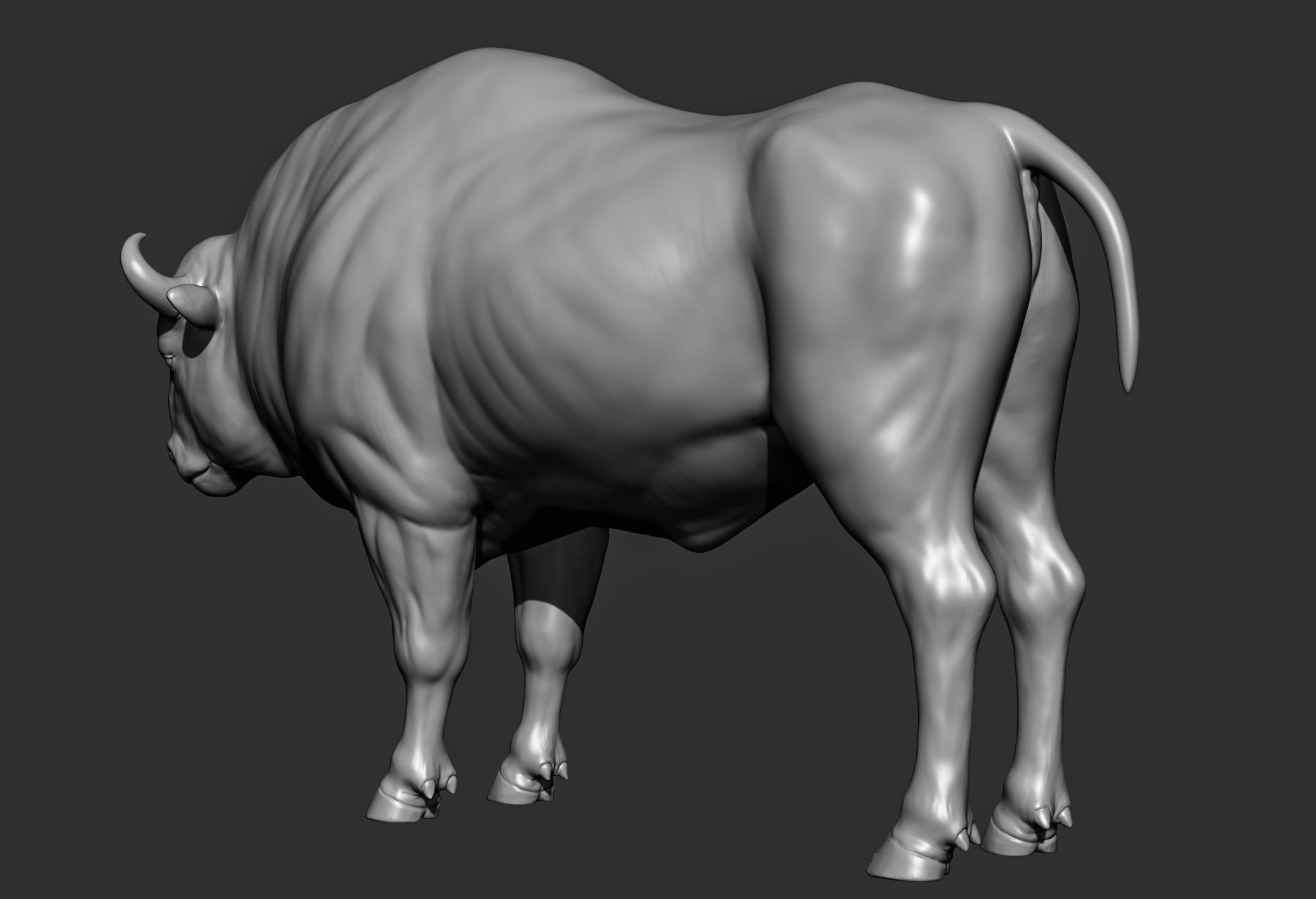 Wild animal collection 3D model_110
