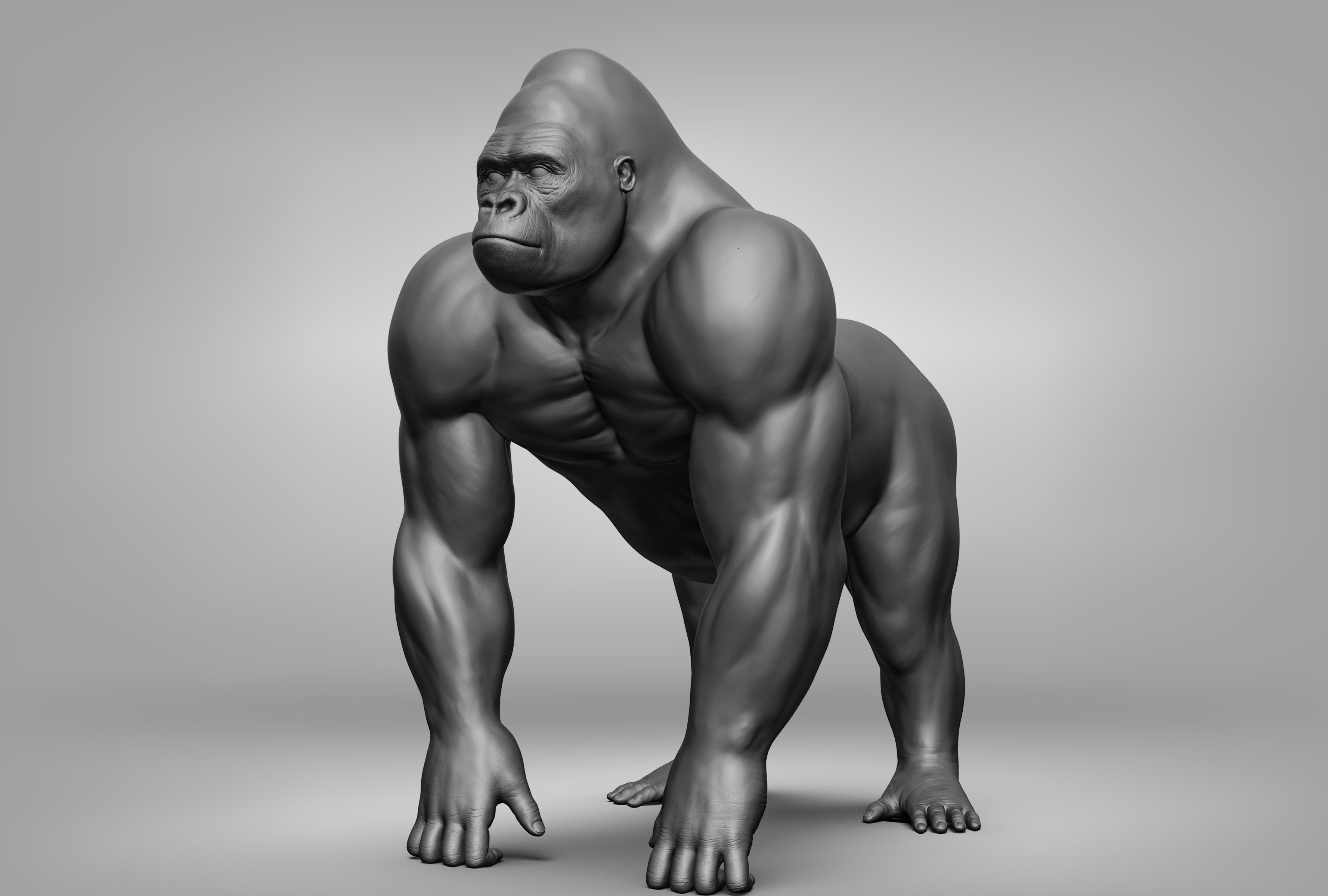 Wild animal collection 3D model_90