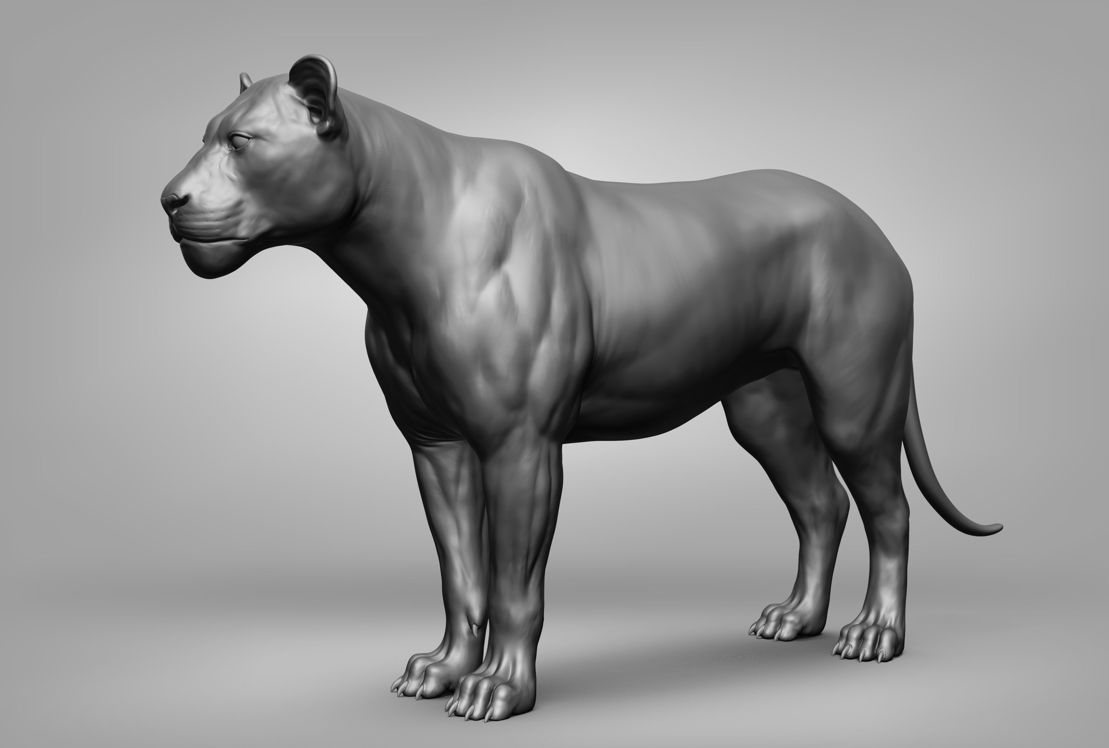 Wild animal collection 3D model_32