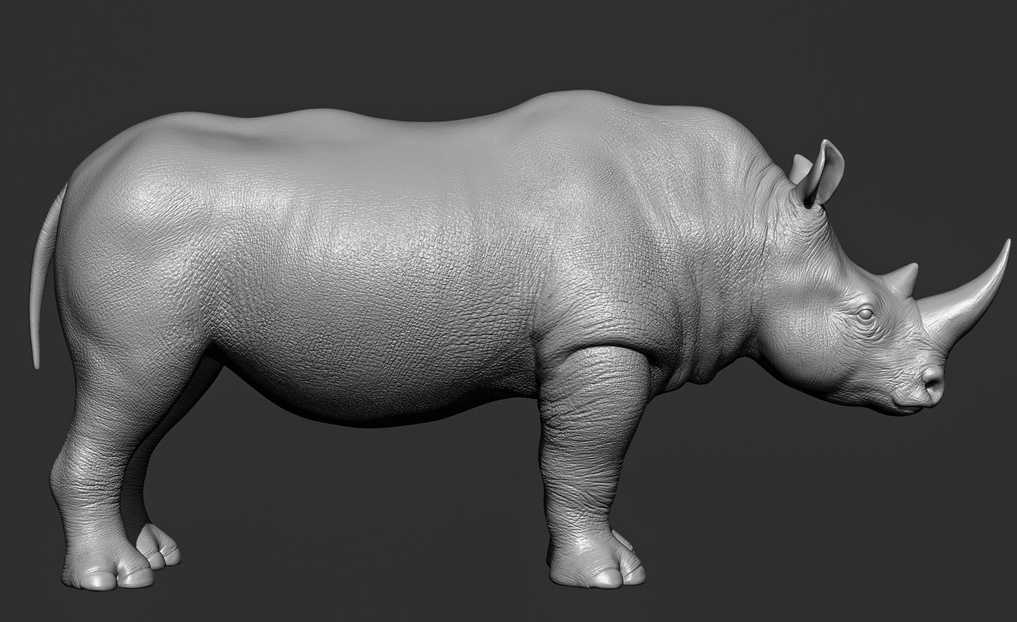 Wild animal collection 3D model_86