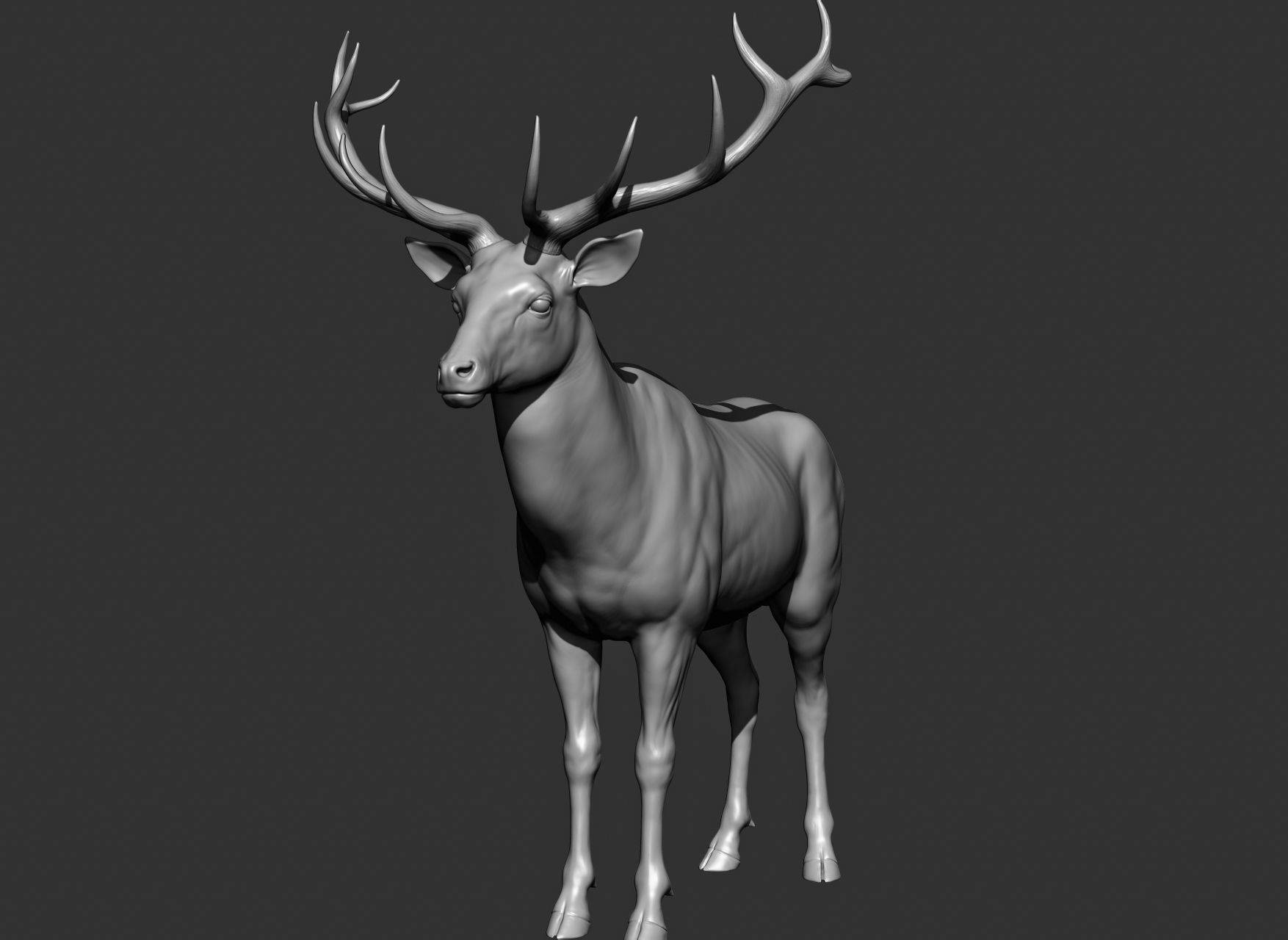 Wild animal collection 3D model_140
