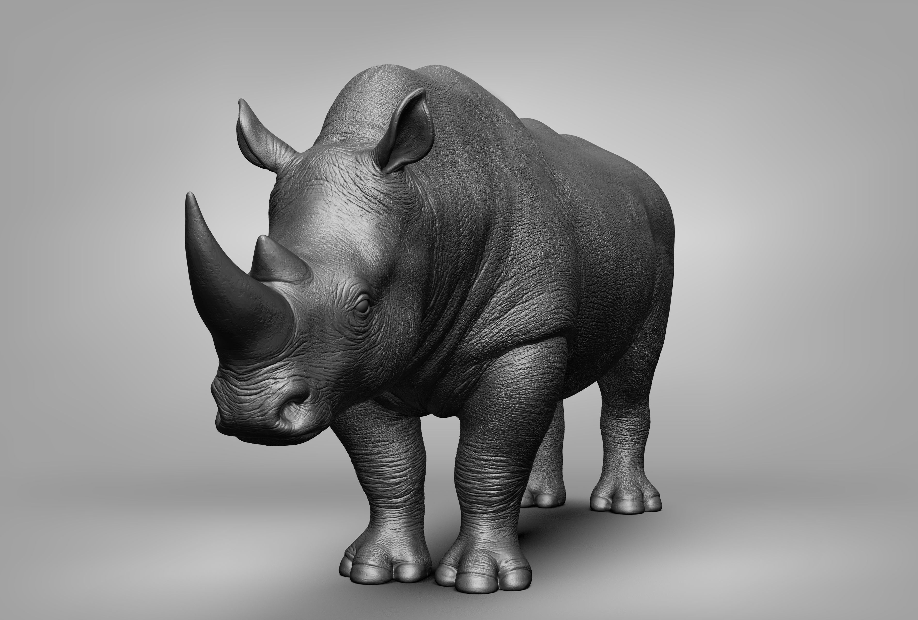 Wild animal collection 3D model_73