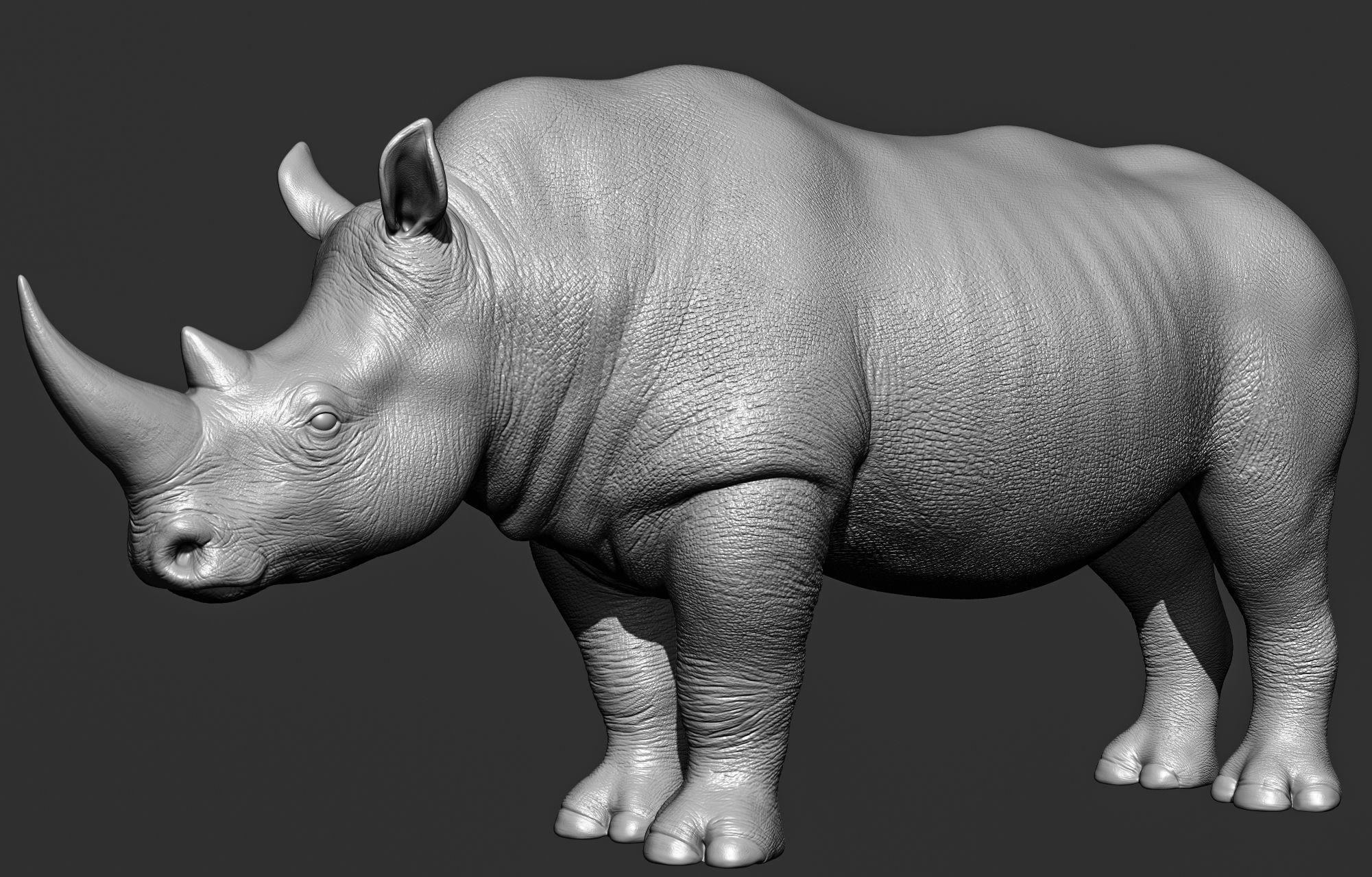 Wild animal collection 3D model_83
