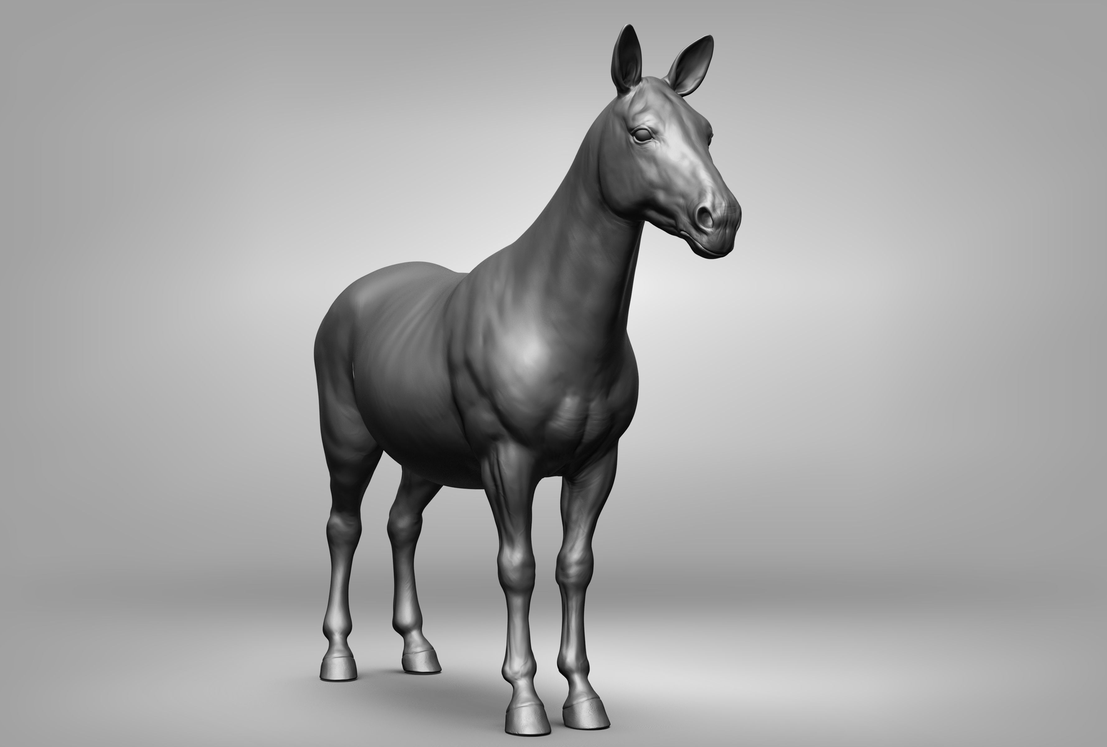 Wild animal collection 3D model_116