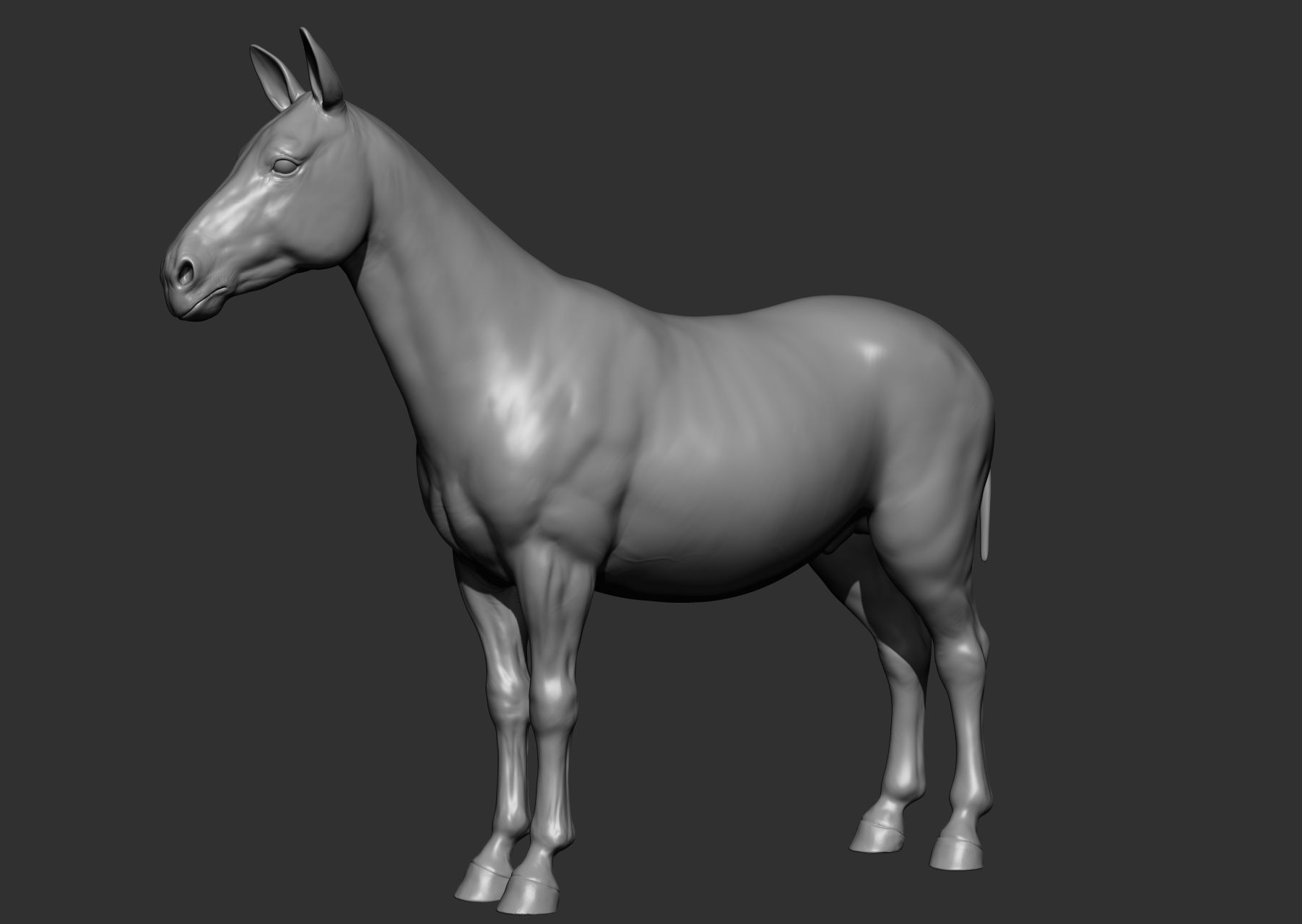 Wild animal collection 3D model_118