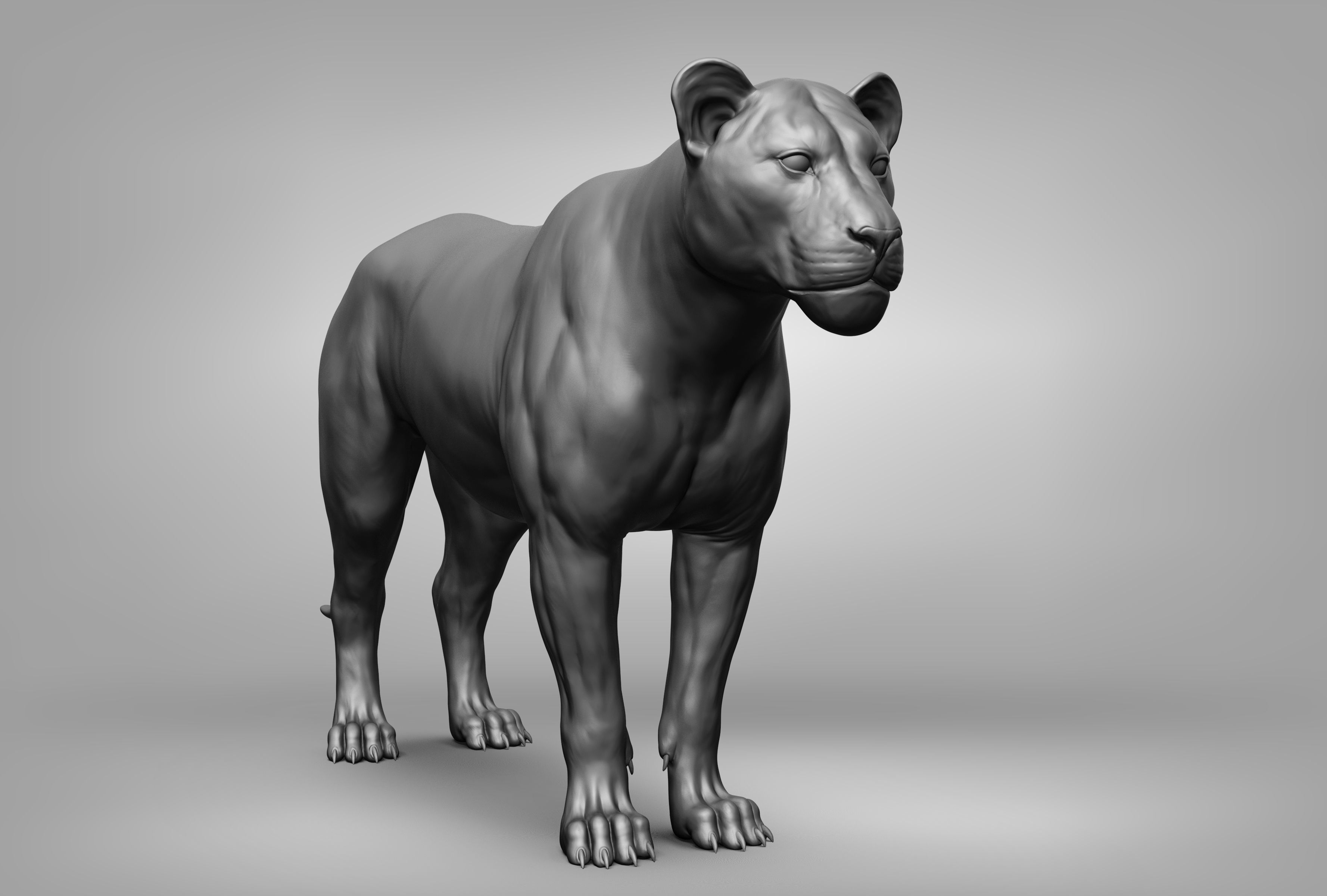 Wild animal collection 3D model_36