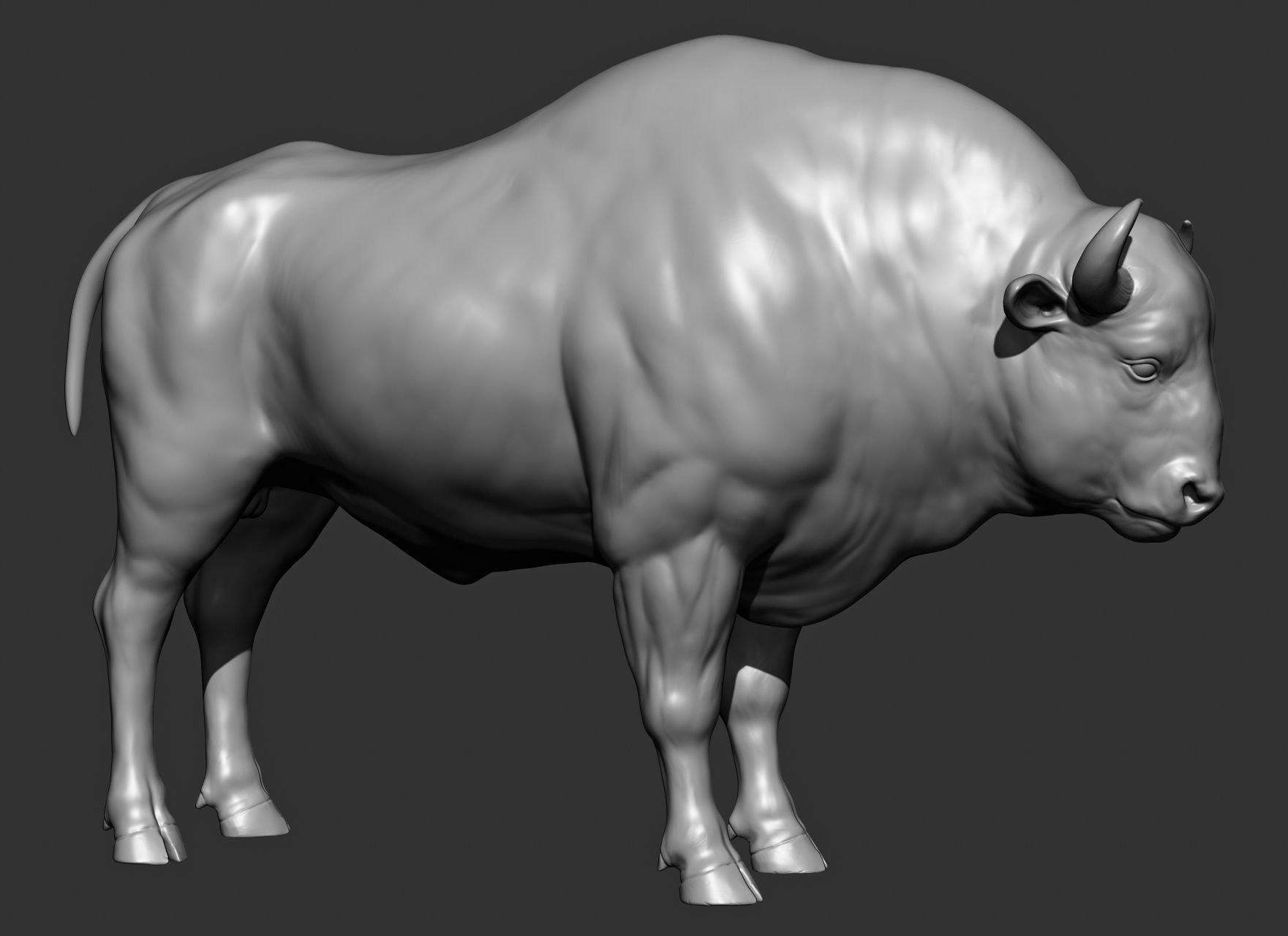 Wild animal collection 3D model_111