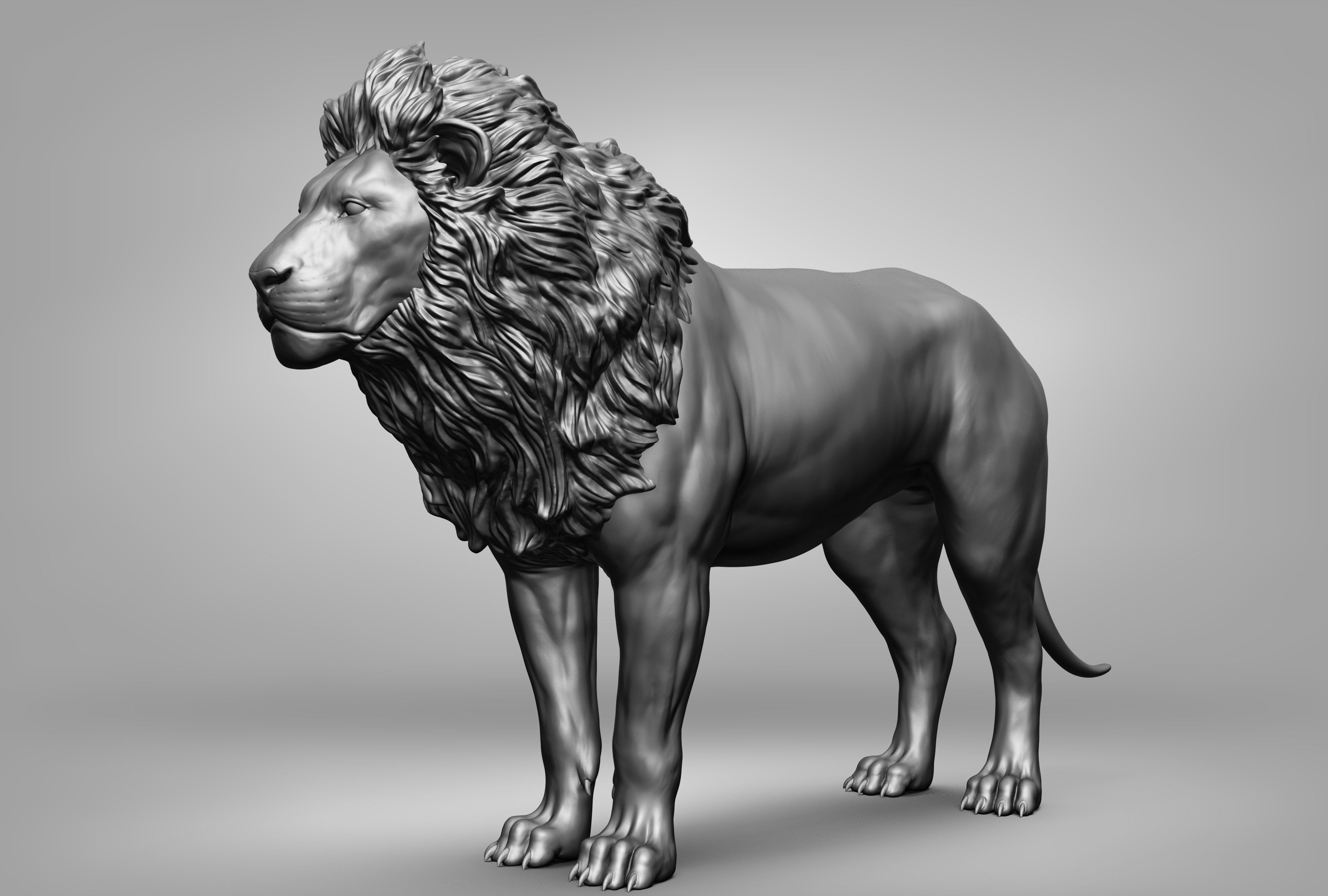 Wild animal collection 3D model_16