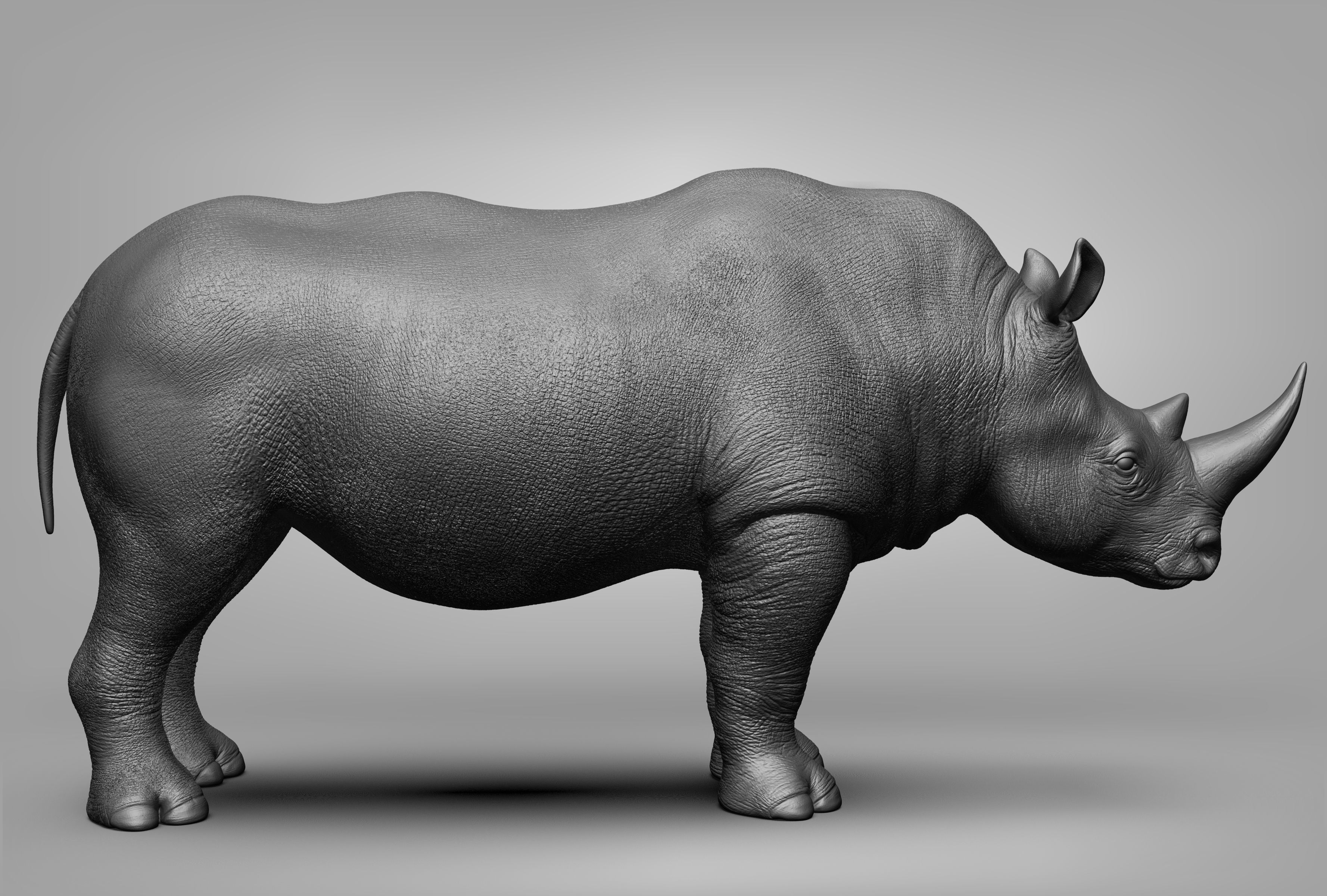 Wild animal collection 3D model_75