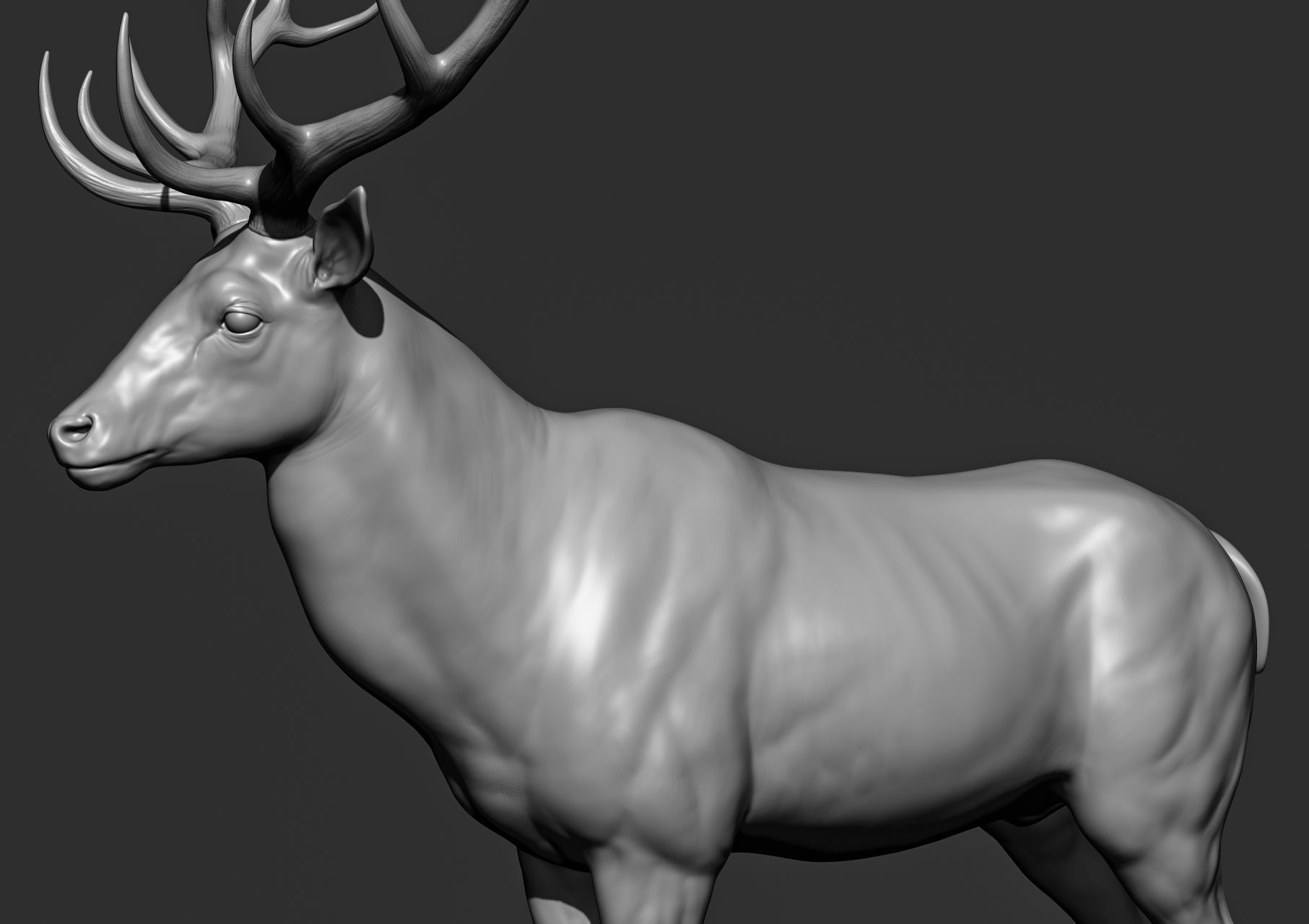 Wild animal collection 3D model_138