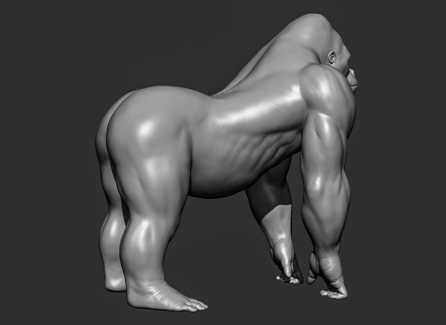 Wild animal collection 3D model_96