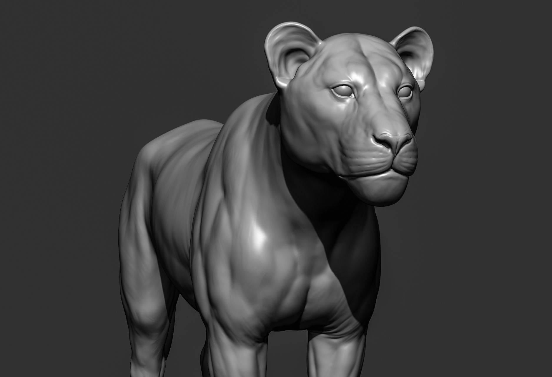 Wild animal collection 3D model_46