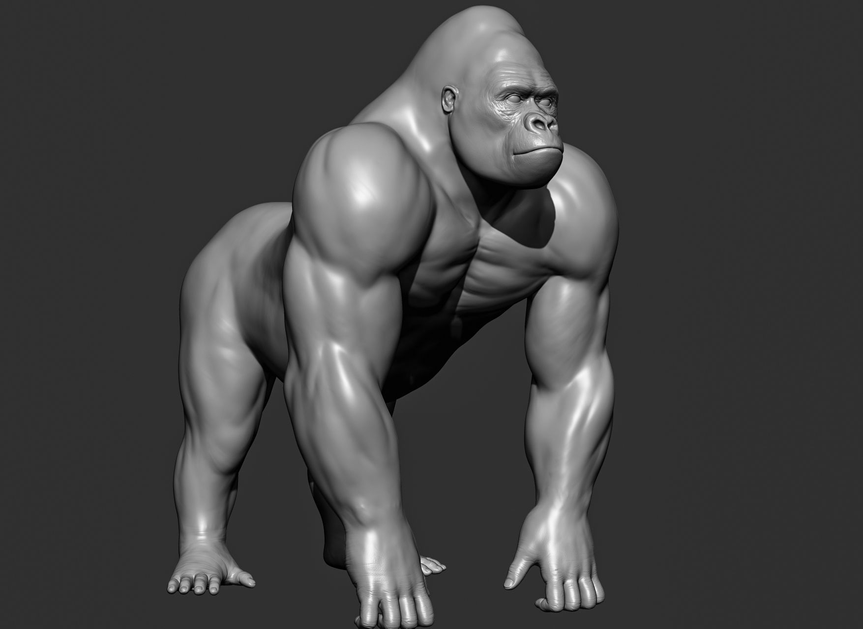 Wild animal collection 3D model_97