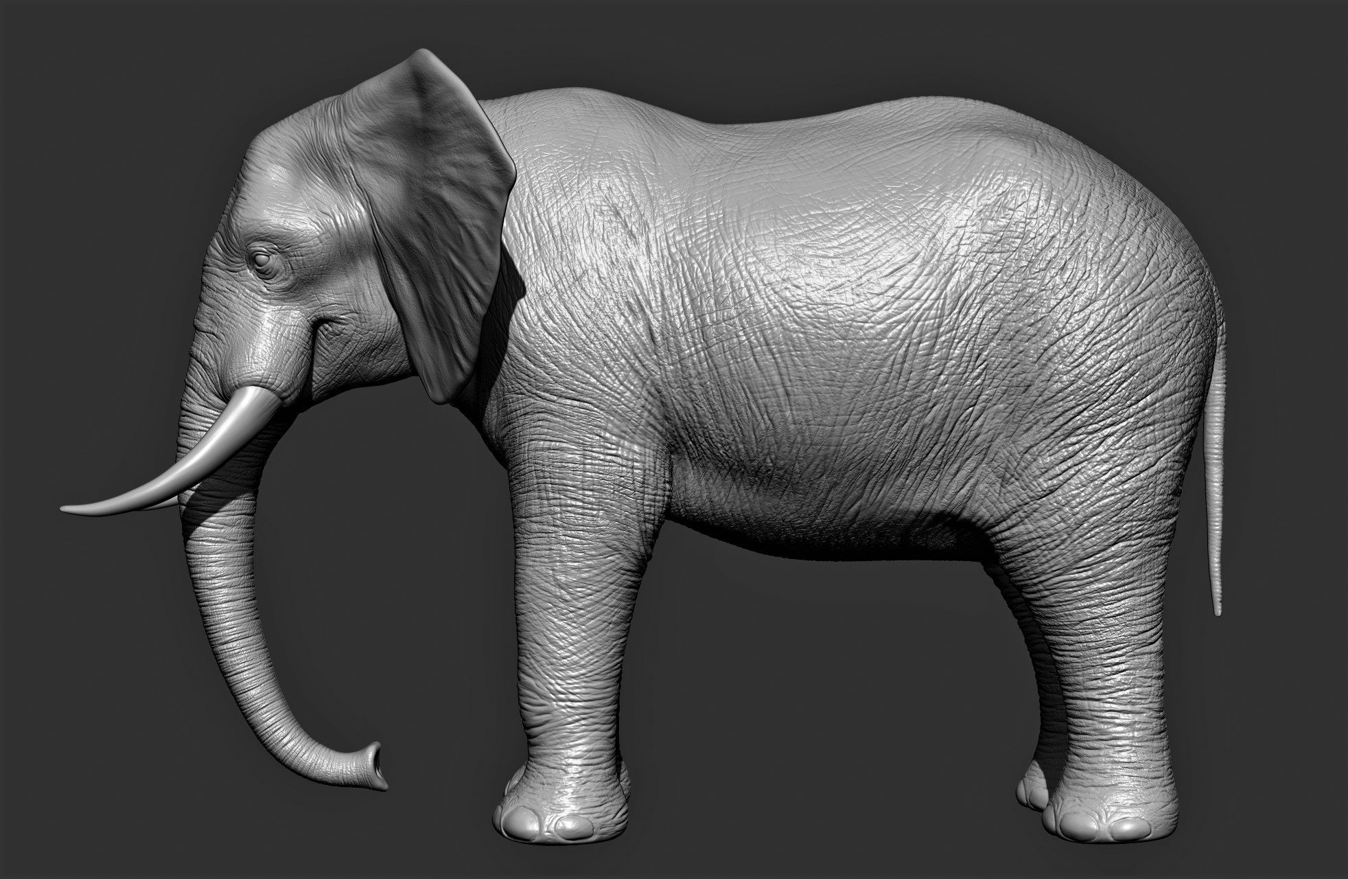 Wild animal collection 3D model_9
