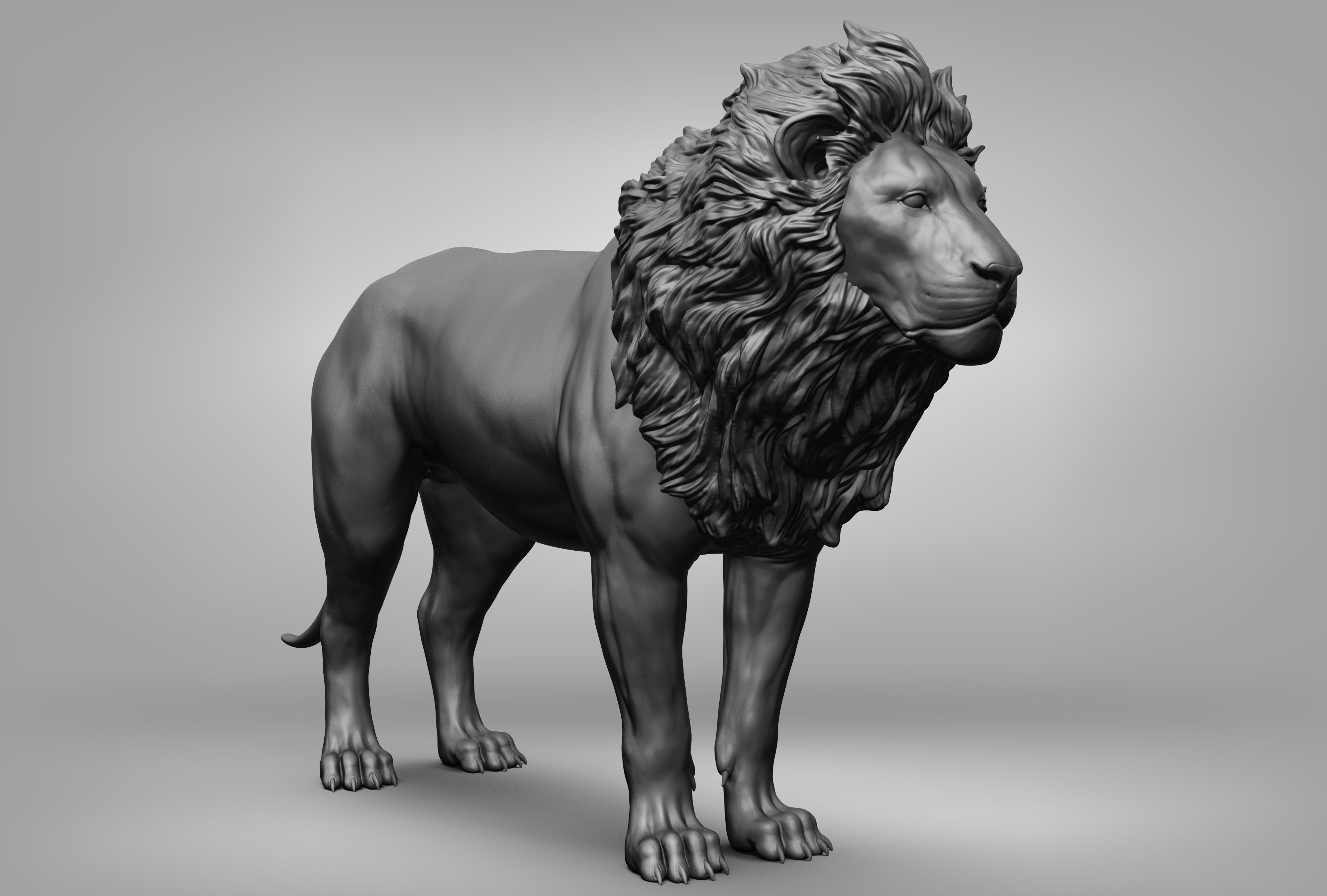 Wild animal collection 3D model_21