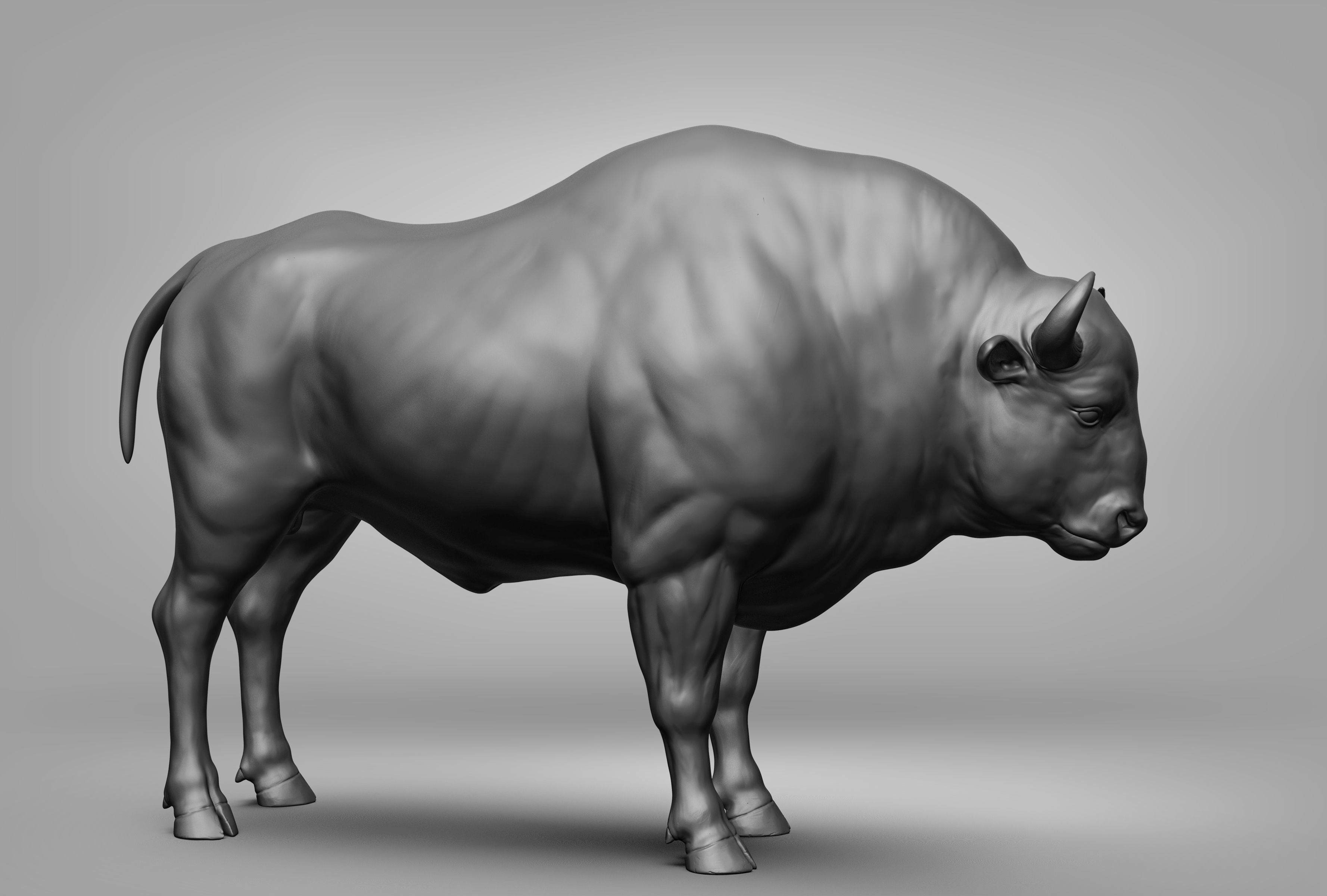 Wild animal collection 3D model_106