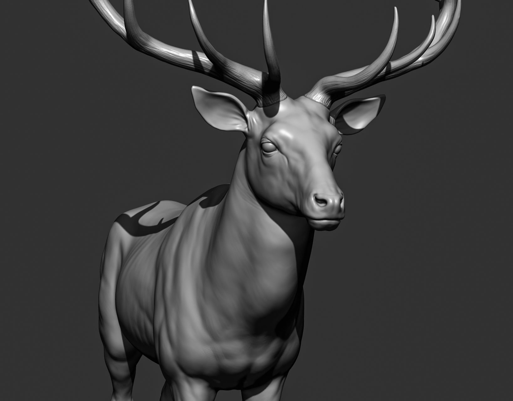 Wild animal collection 3D model_134