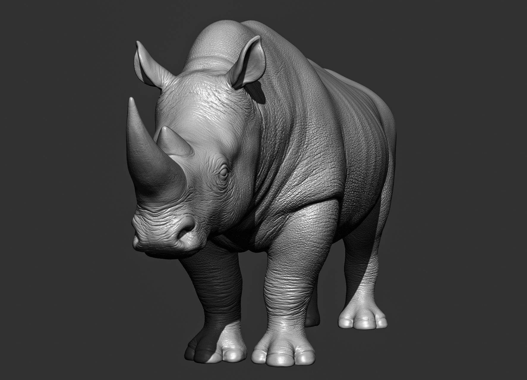 Wild animal collection 3D model_78