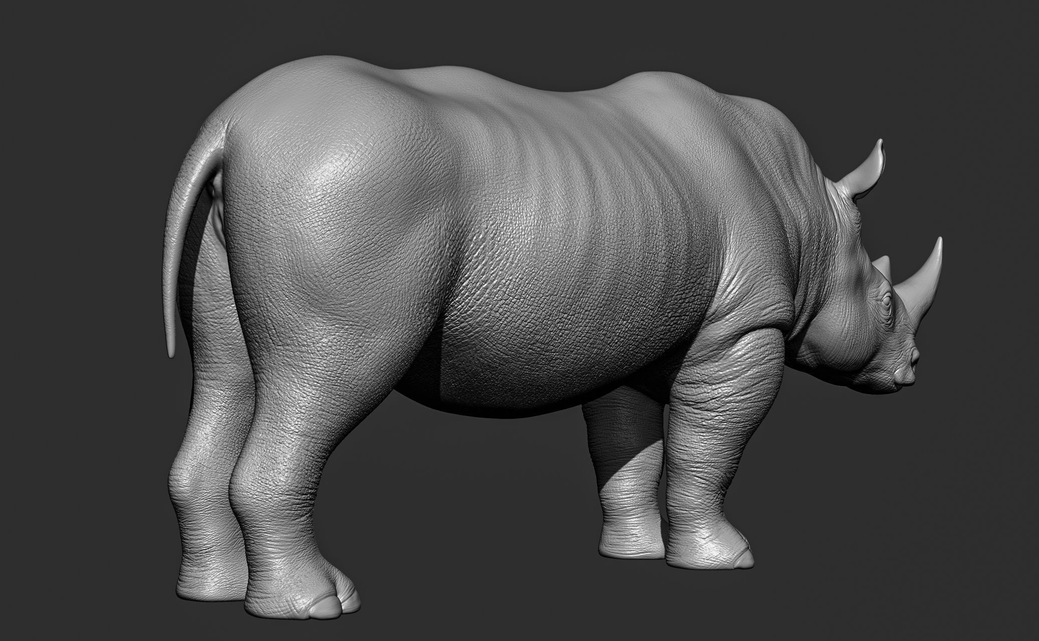 Wild animal collection 3D model_87