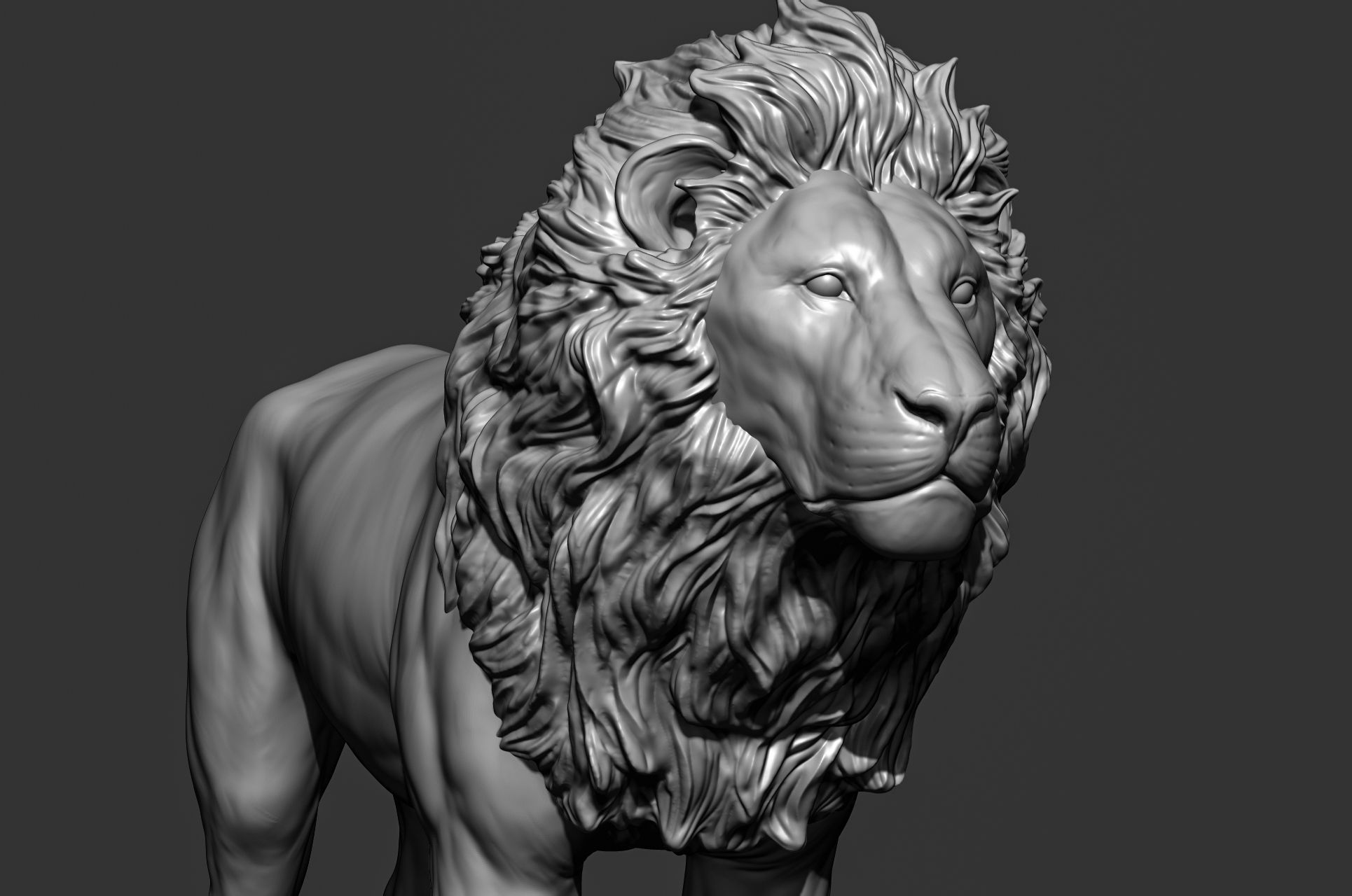 Wild animal collection 3D model_29