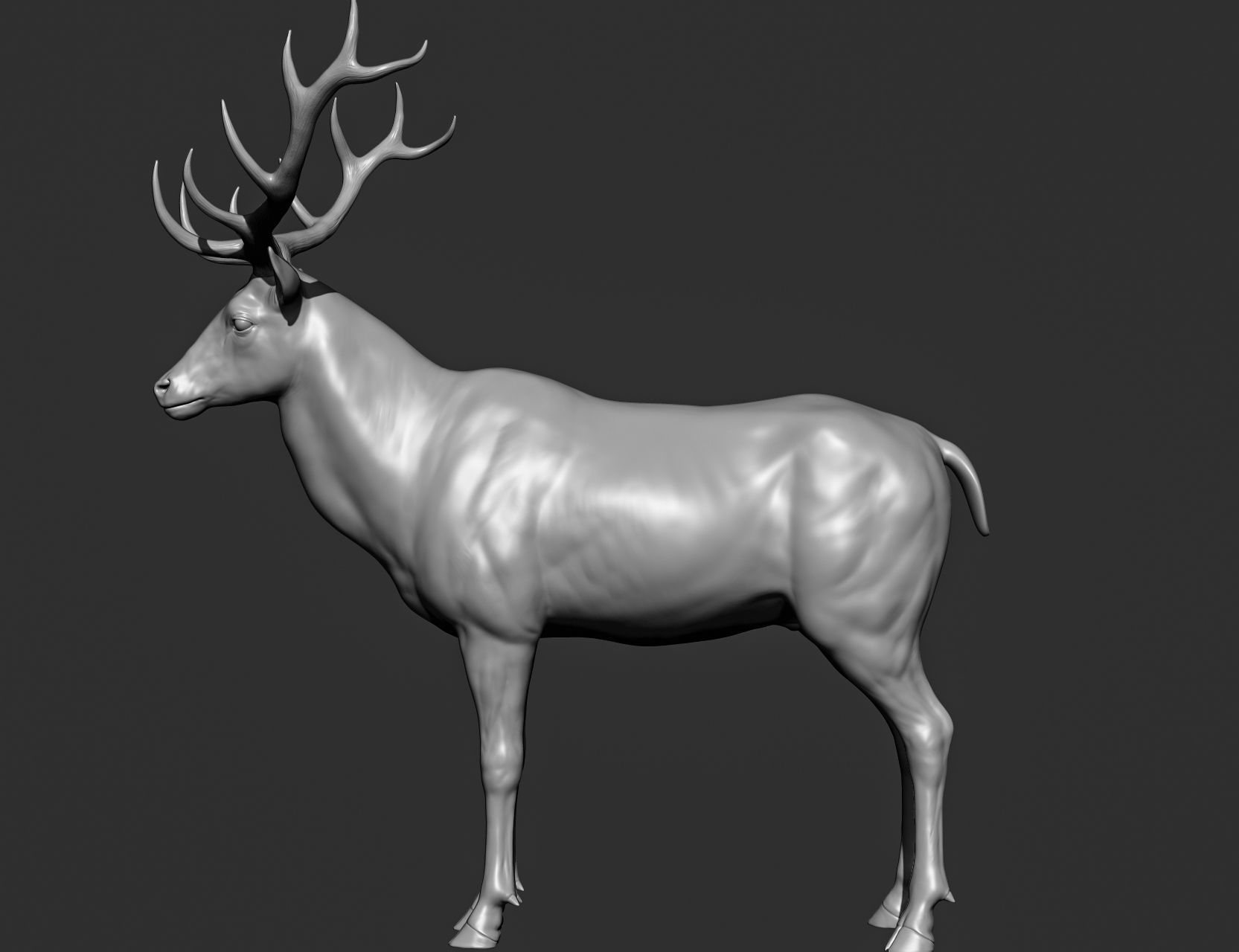 Wild animal collection 3D model_131