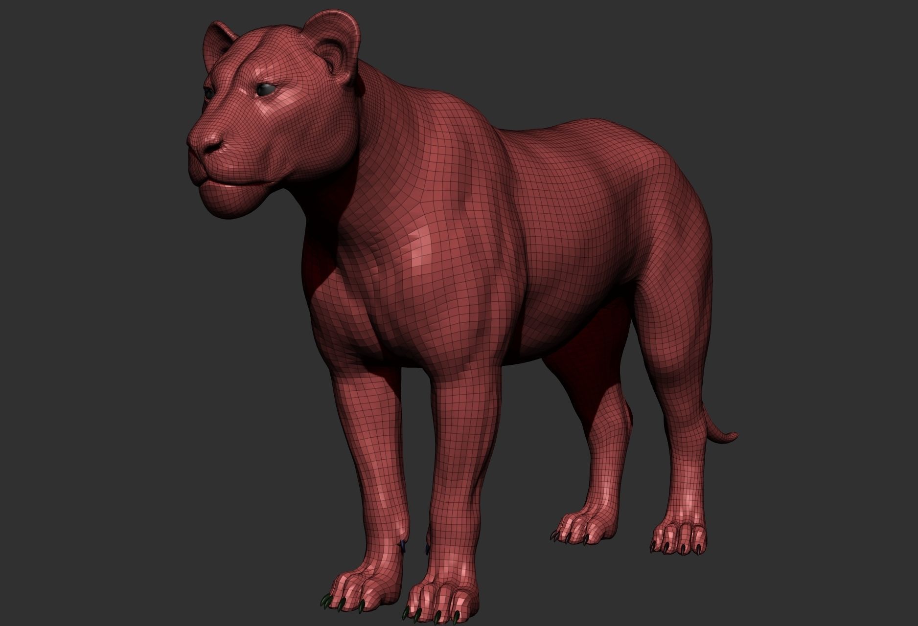 Wild animal collection 3D model_47